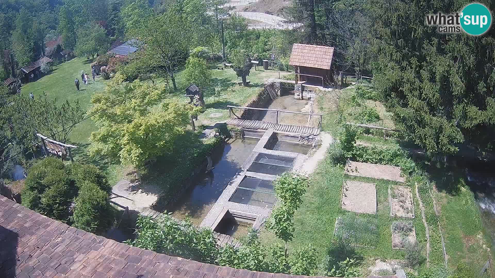 Spletna kamera v živo Rastoke – reka Slunjčica – Hrvaška