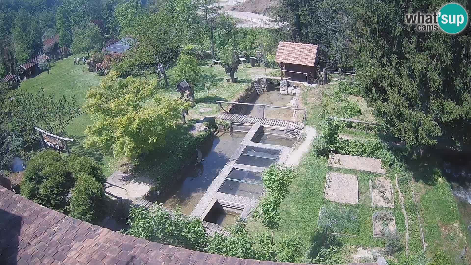 Live-Webcam Rastoke – Fluss Slunjčica – Kroatien