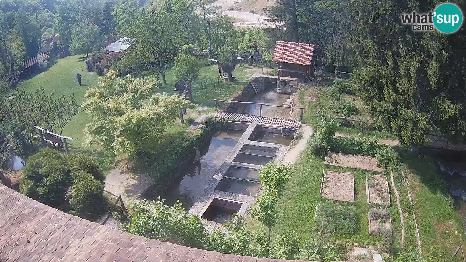 Spletna kamera v živo Rastoke – reka Slunjčica – Hrvaška