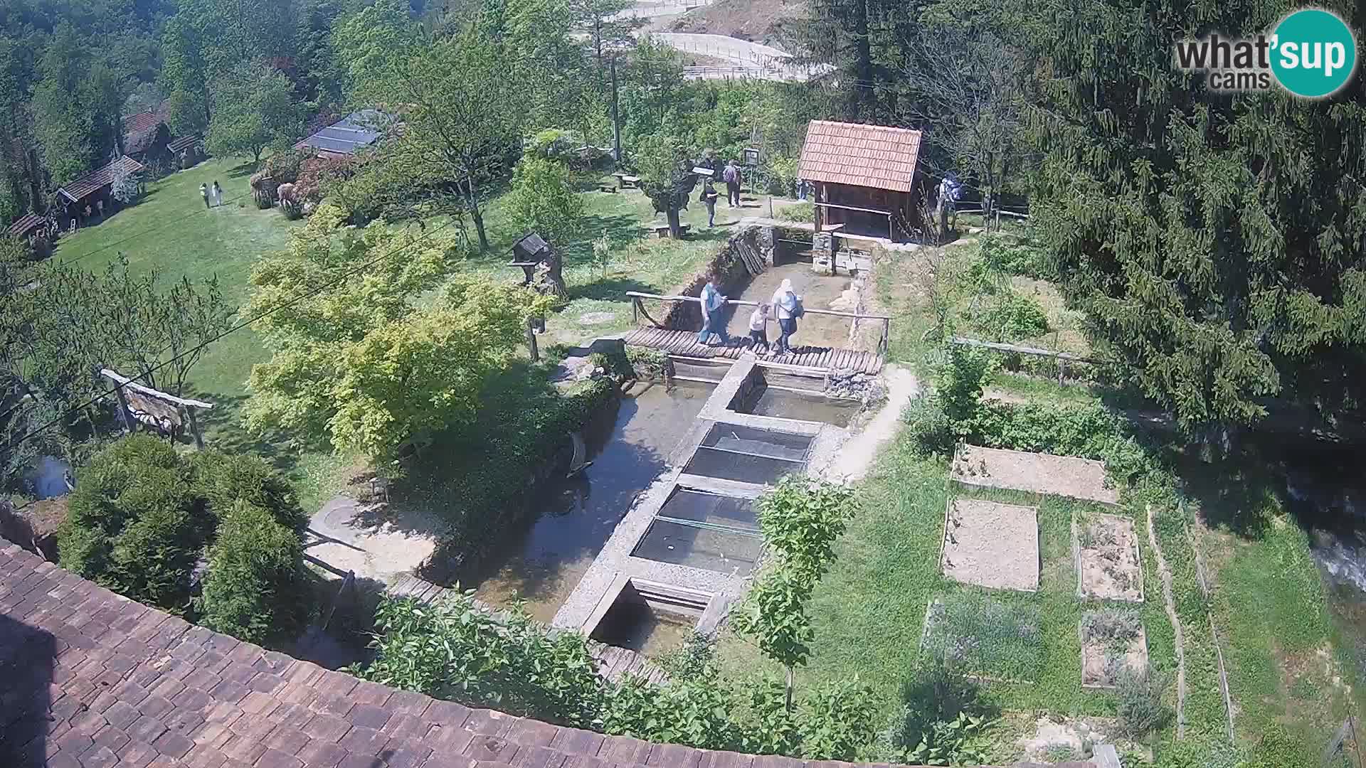 Live webcam Rastoke – river Slunjčica – Croatia