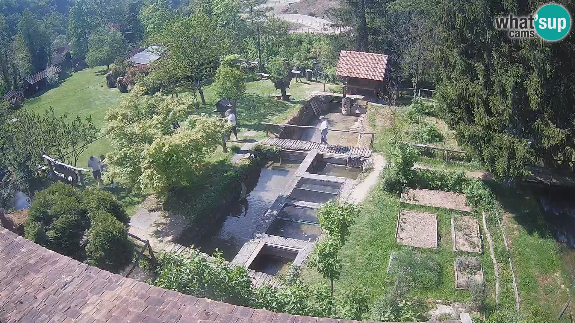 Spletna kamera v živo Rastoke – reka Slunjčica – Hrvaška