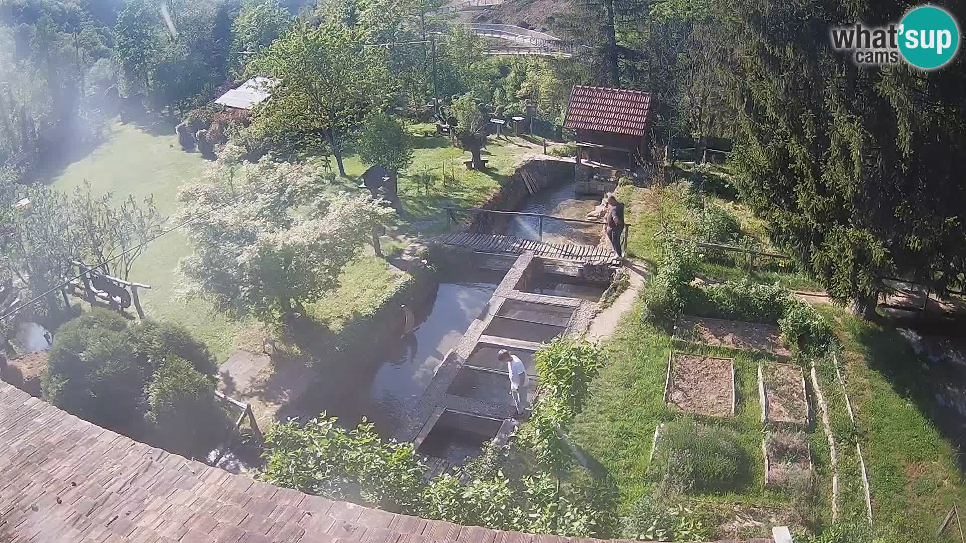 Live webcam Rastoke – river Slunjčica – Croatia