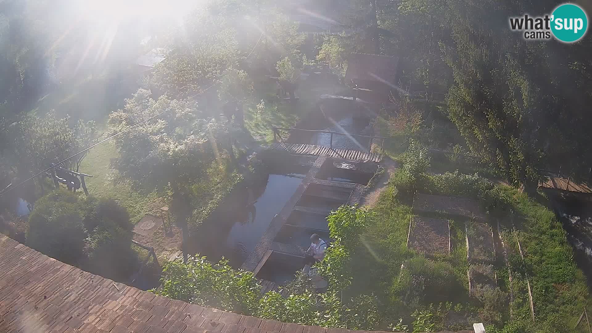 Cámara web en vivo Rastoke – río Slunjčica – Croacia