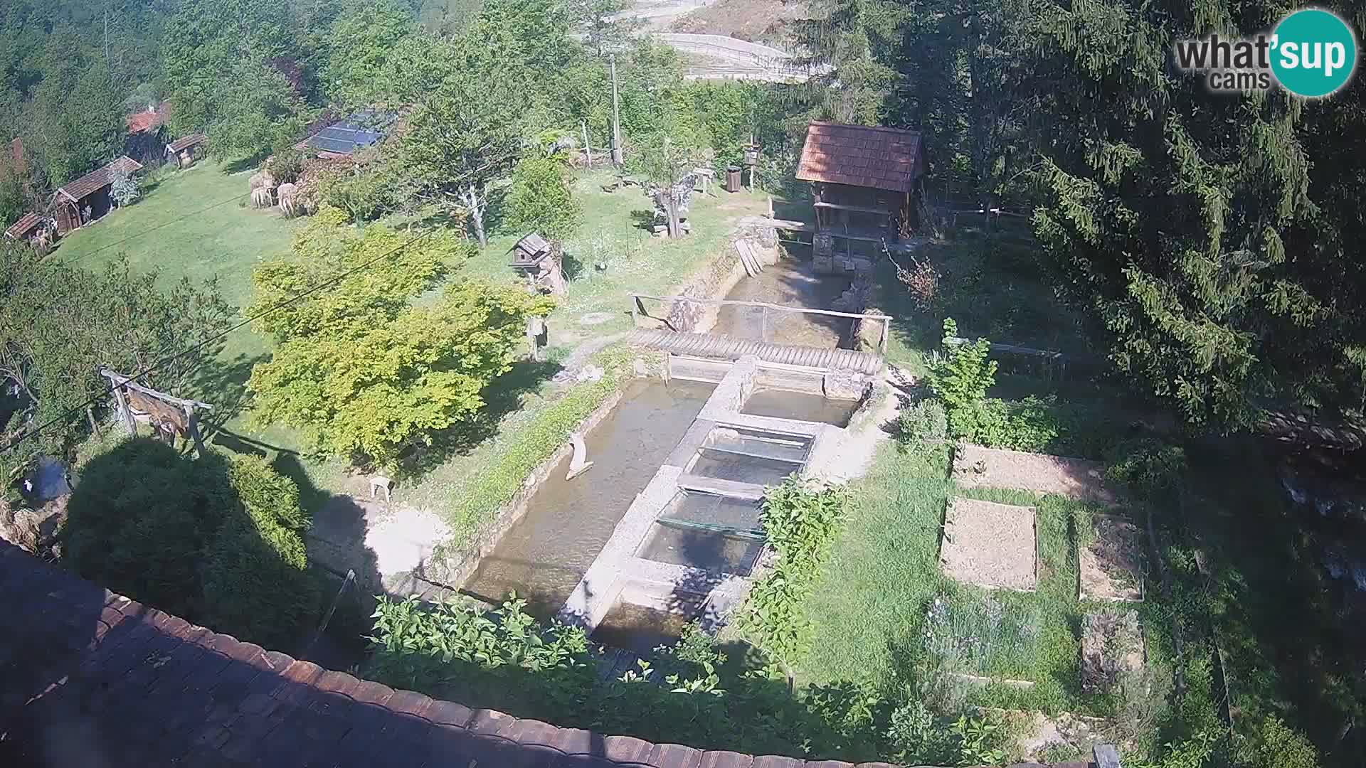 Spletna kamera v živo Rastoke – reka Slunjčica – Hrvaška