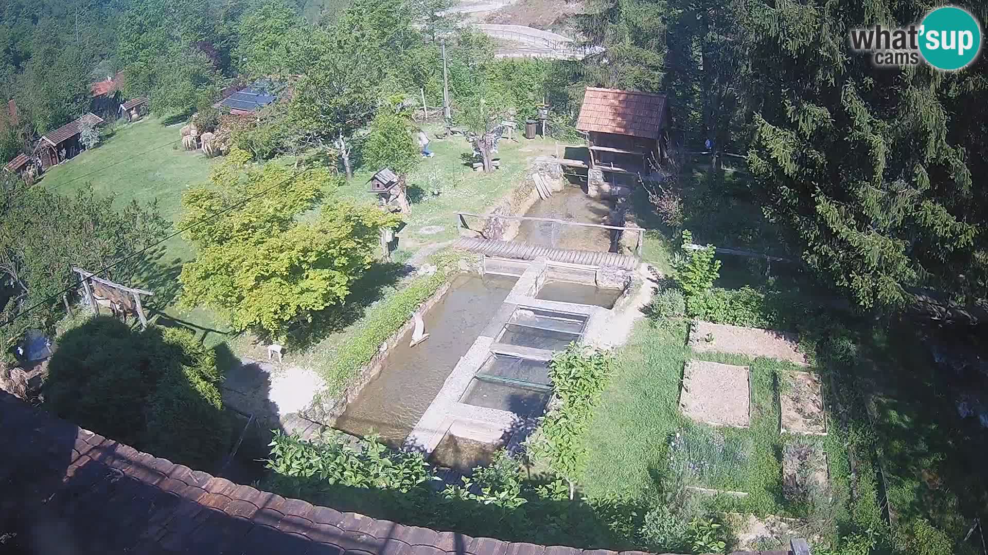 Live webcam Rastoke – river Slunjčica – Croatia