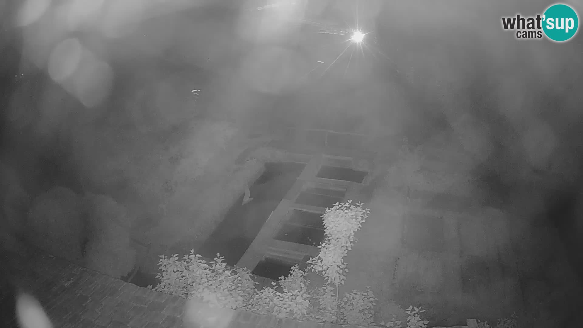 Live-Webcam Rastoke – Fluss Slunjčica – Kroatien