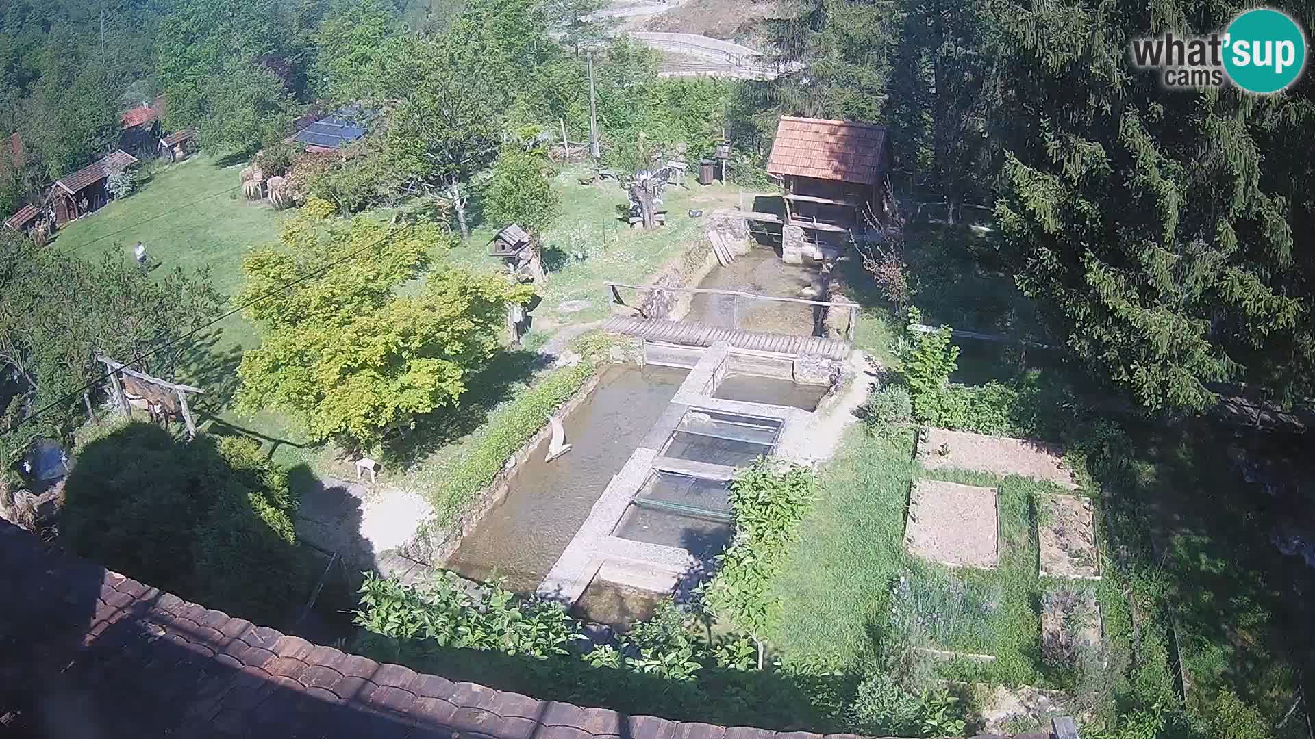 Cámara web en vivo Rastoke – río Slunjčica – Croacia