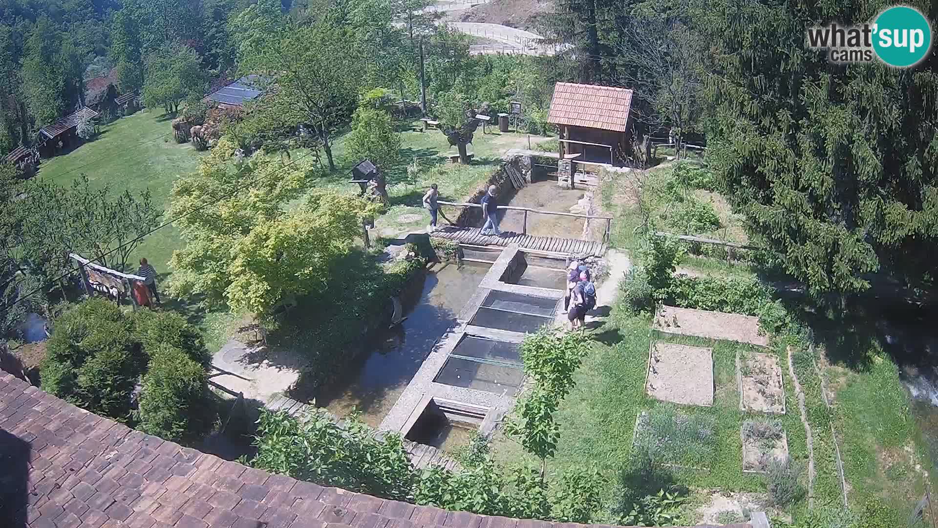 Live webcam Rastoke – river Slunjčica – Croatia