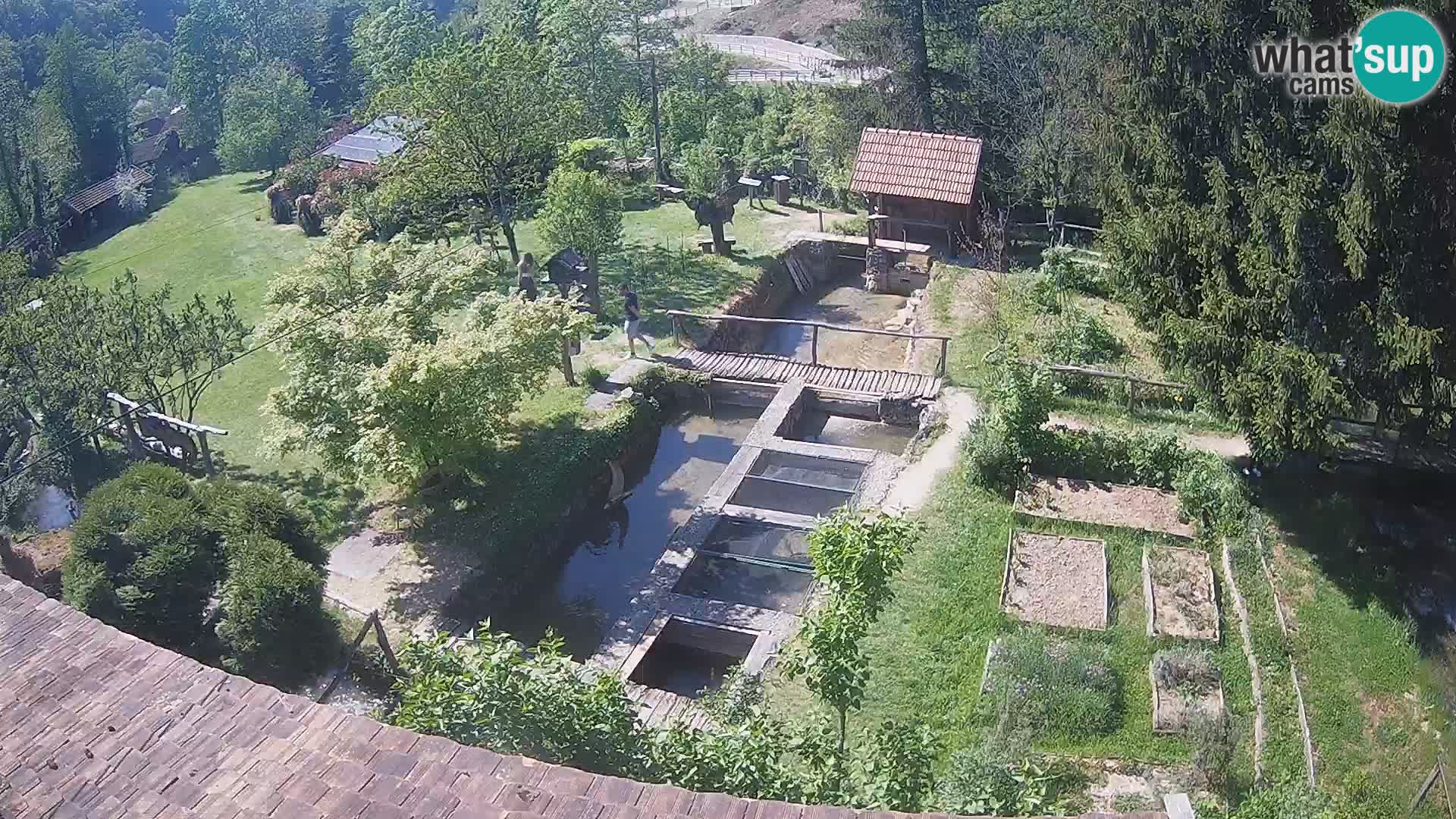 Spletna kamera v živo Rastoke – reka Slunjčica – Hrvaška