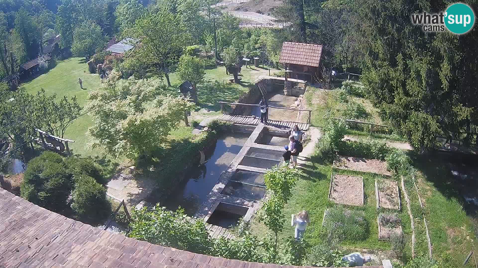 Cámara web en vivo Rastoke – río Slunjčica – Croacia