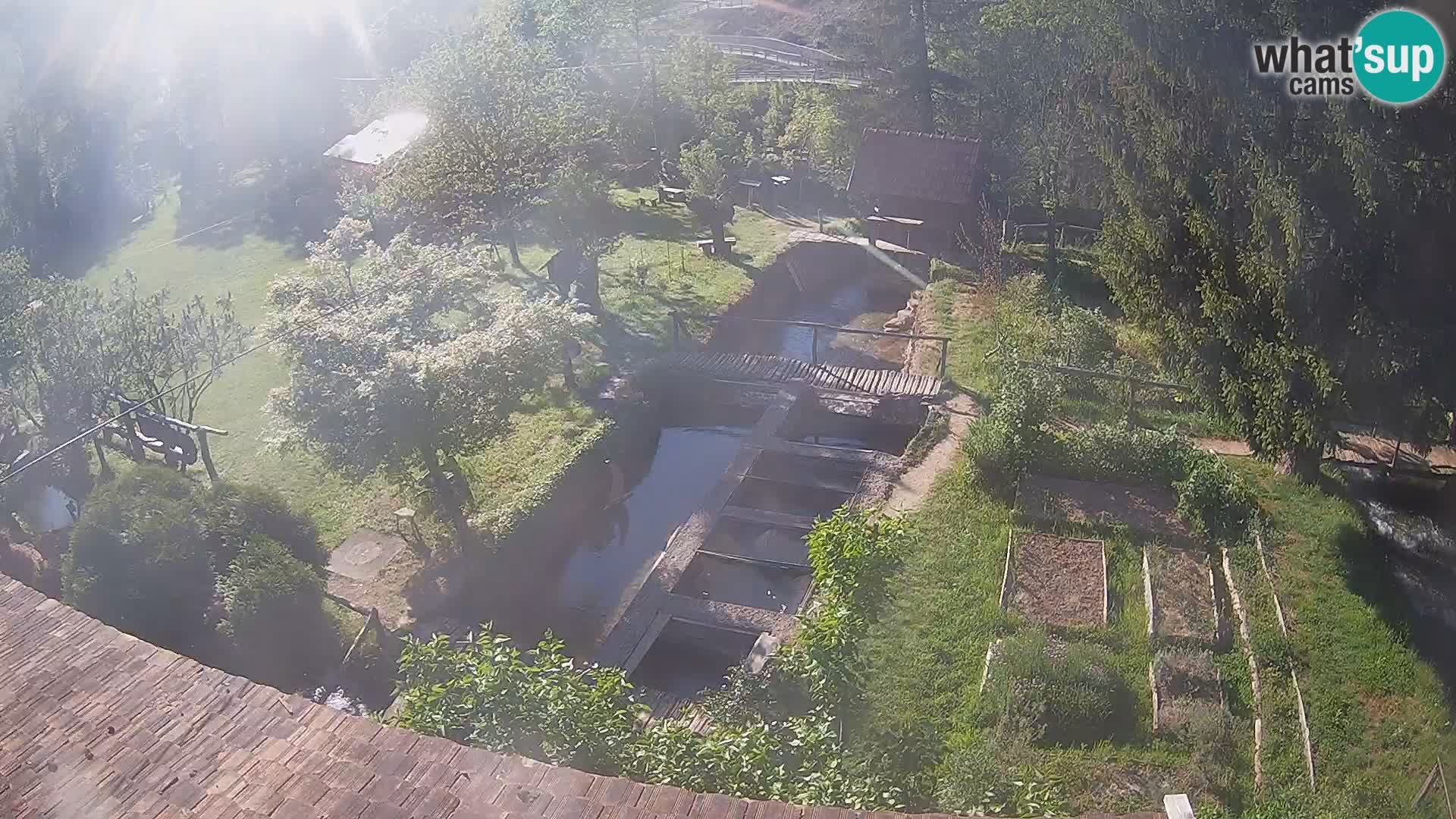 Live webcam Rastoke – river Slunjčica – Croatia