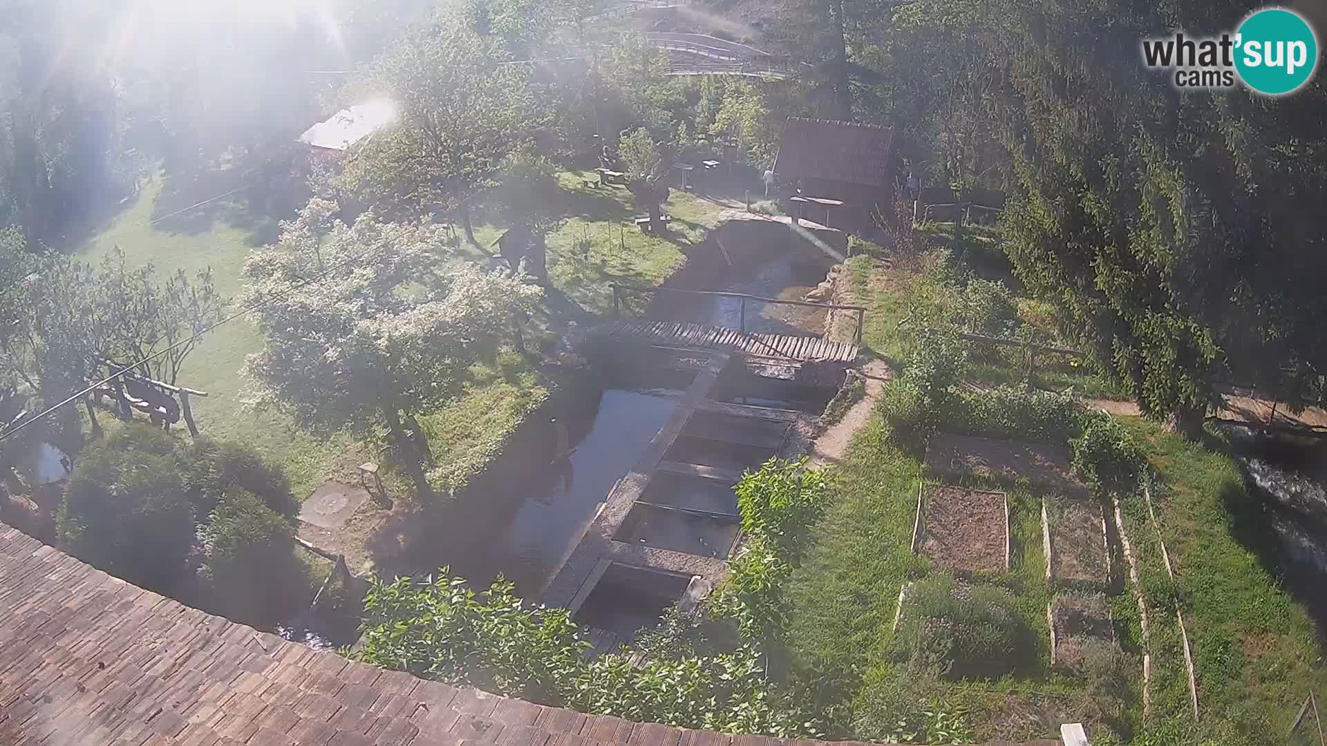 Live-Webcam Rastoke – Fluss Slunjčica – Kroatien