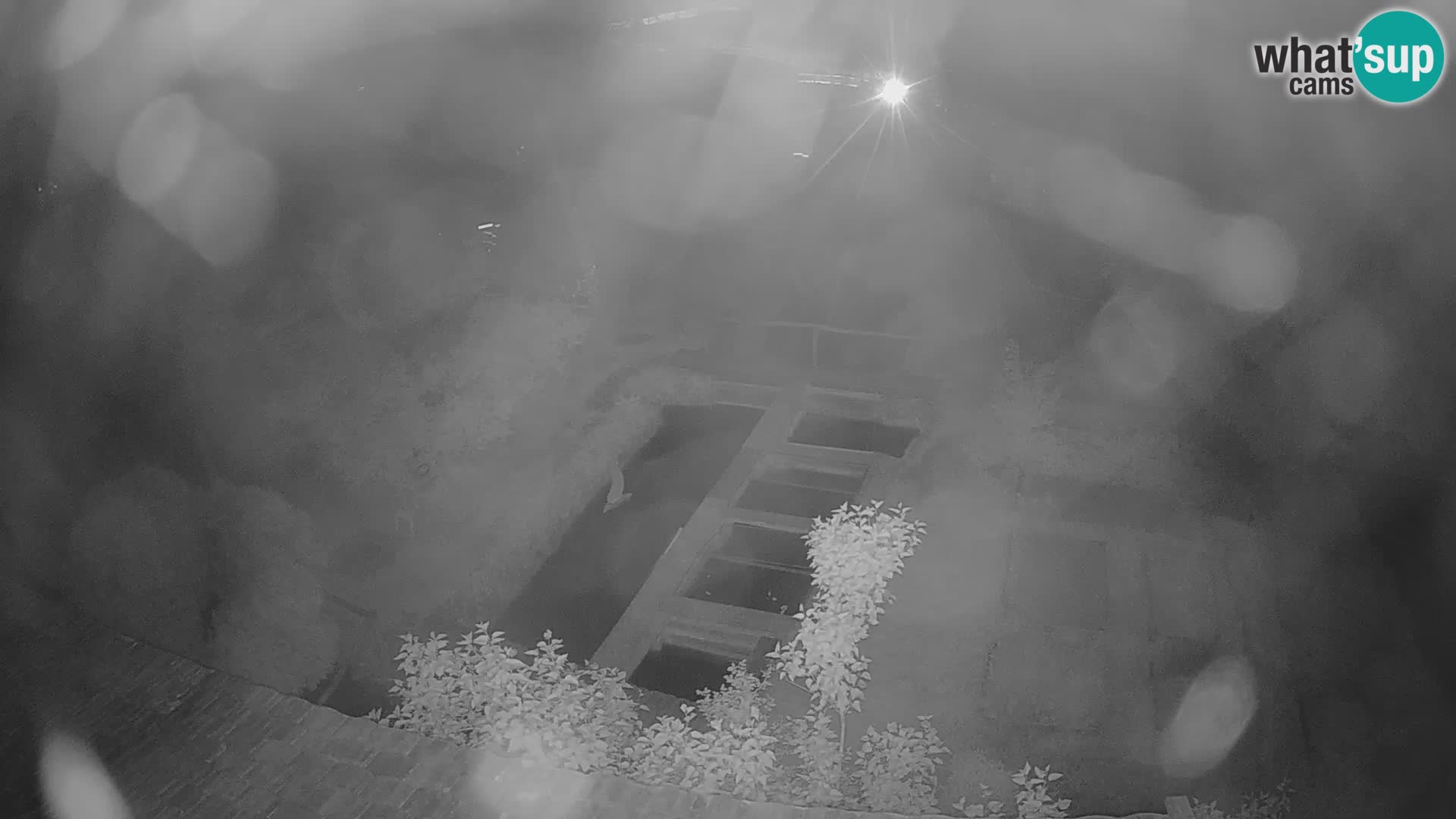 Live-Webcam Rastoke – Fluss Slunjčica – Kroatien