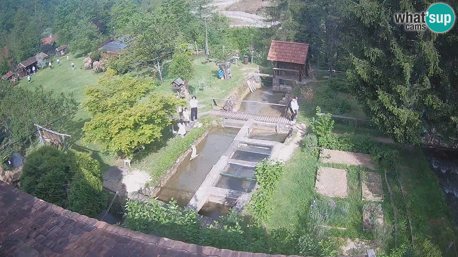 Live webcam Rastoke – river Slunjčica – Croatia