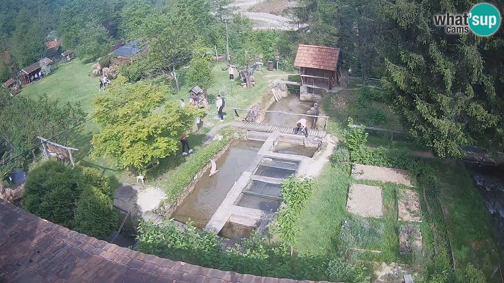 Live webcam Rastoke – river Slunjčica – Croatia