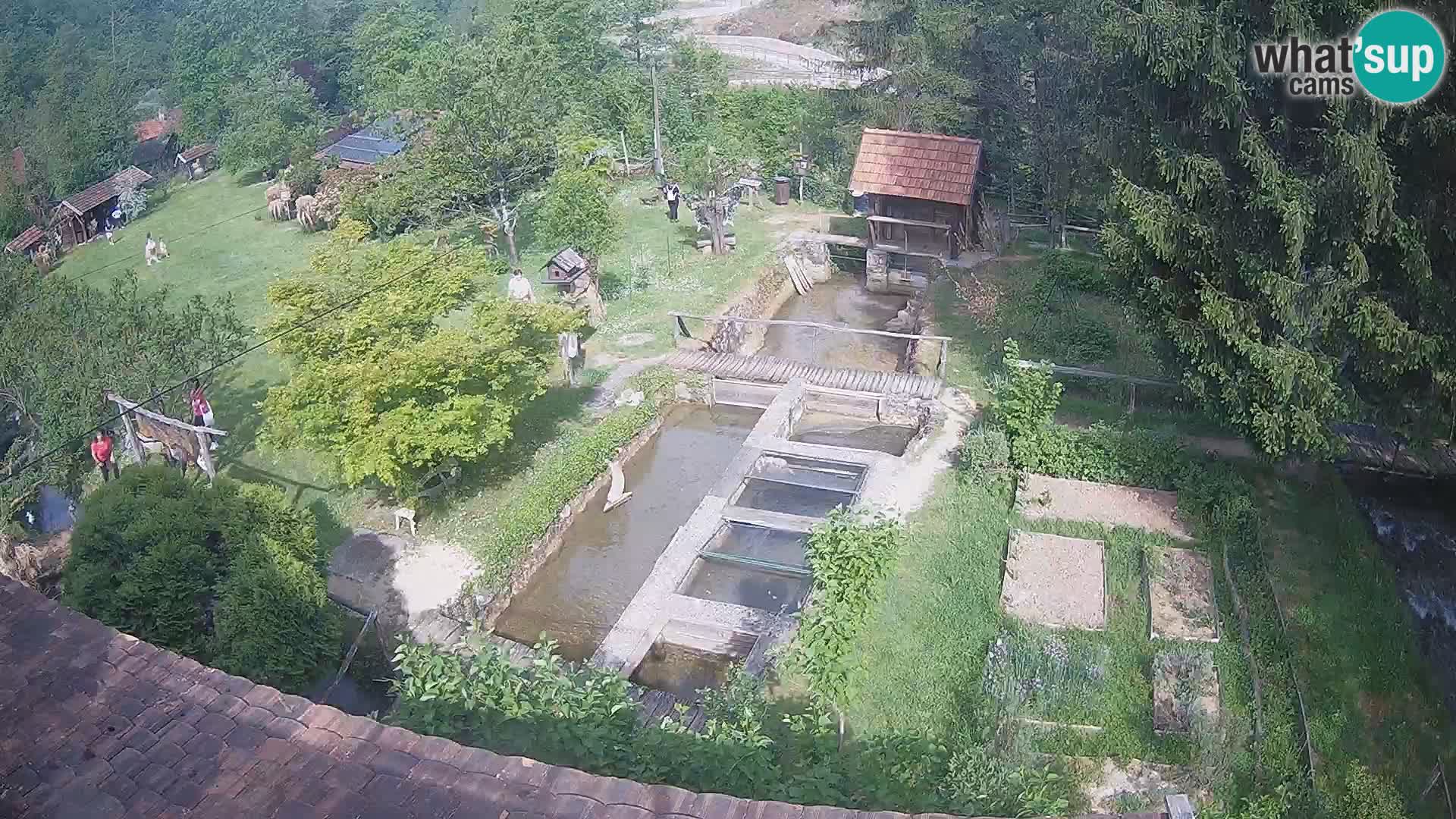 Live webcam Rastoke – river Slunjčica – Croatia