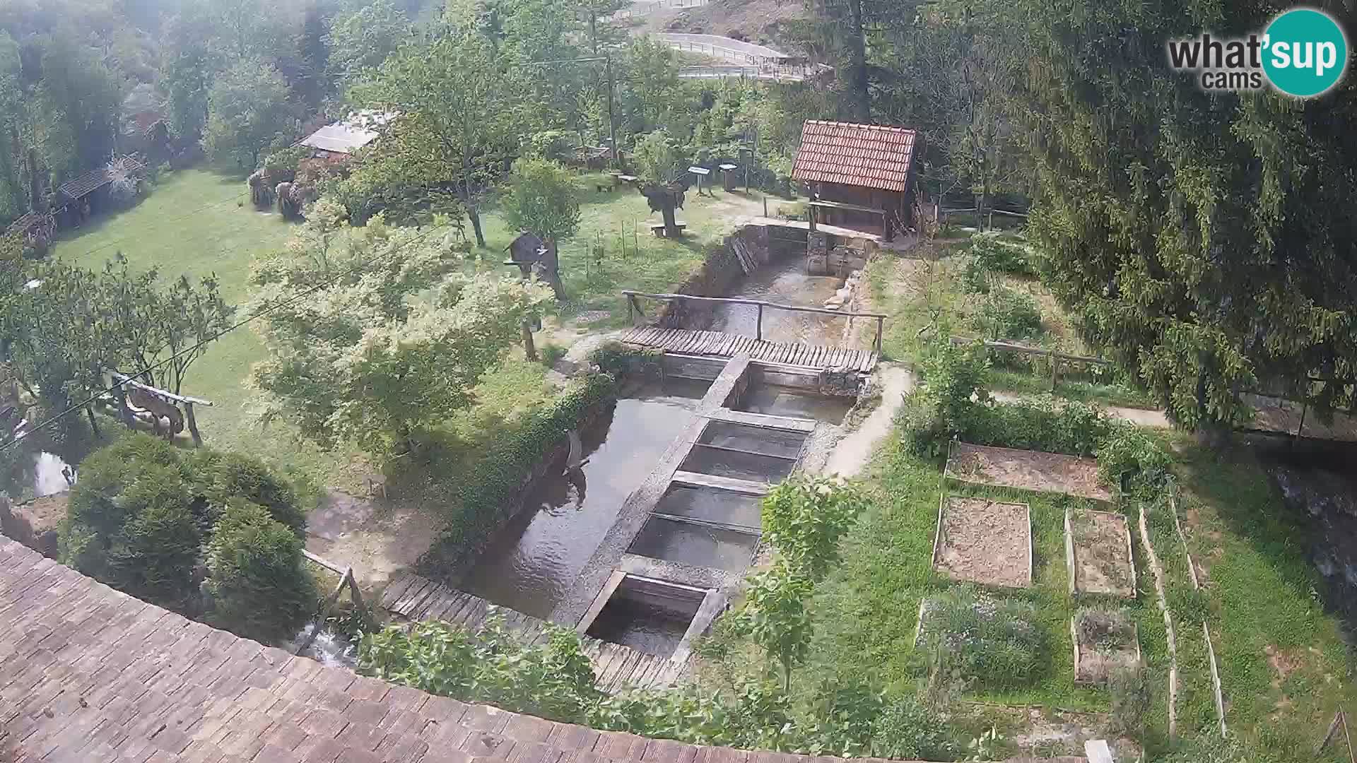 Live webcam Rastoke – river Slunjčica – Croatia