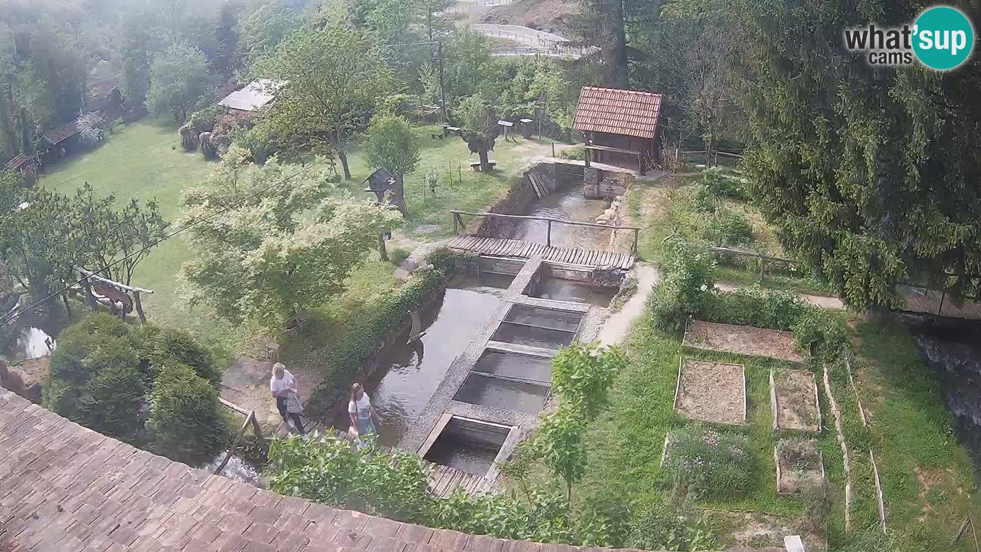Live-Webcam Rastoke – Fluss Slunjčica – Kroatien