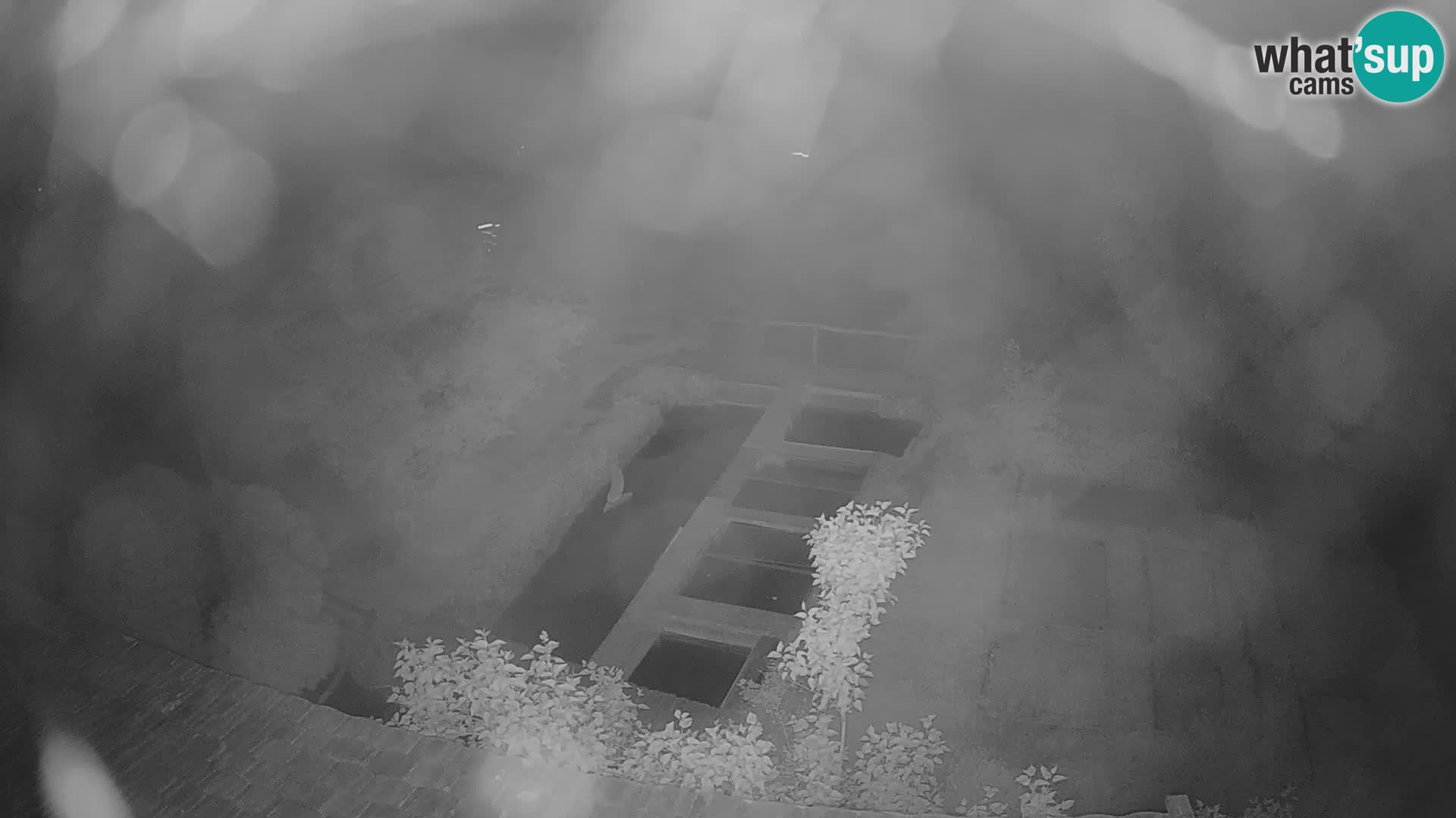 Live-Webcam Rastoke – Fluss Slunjčica – Kroatien