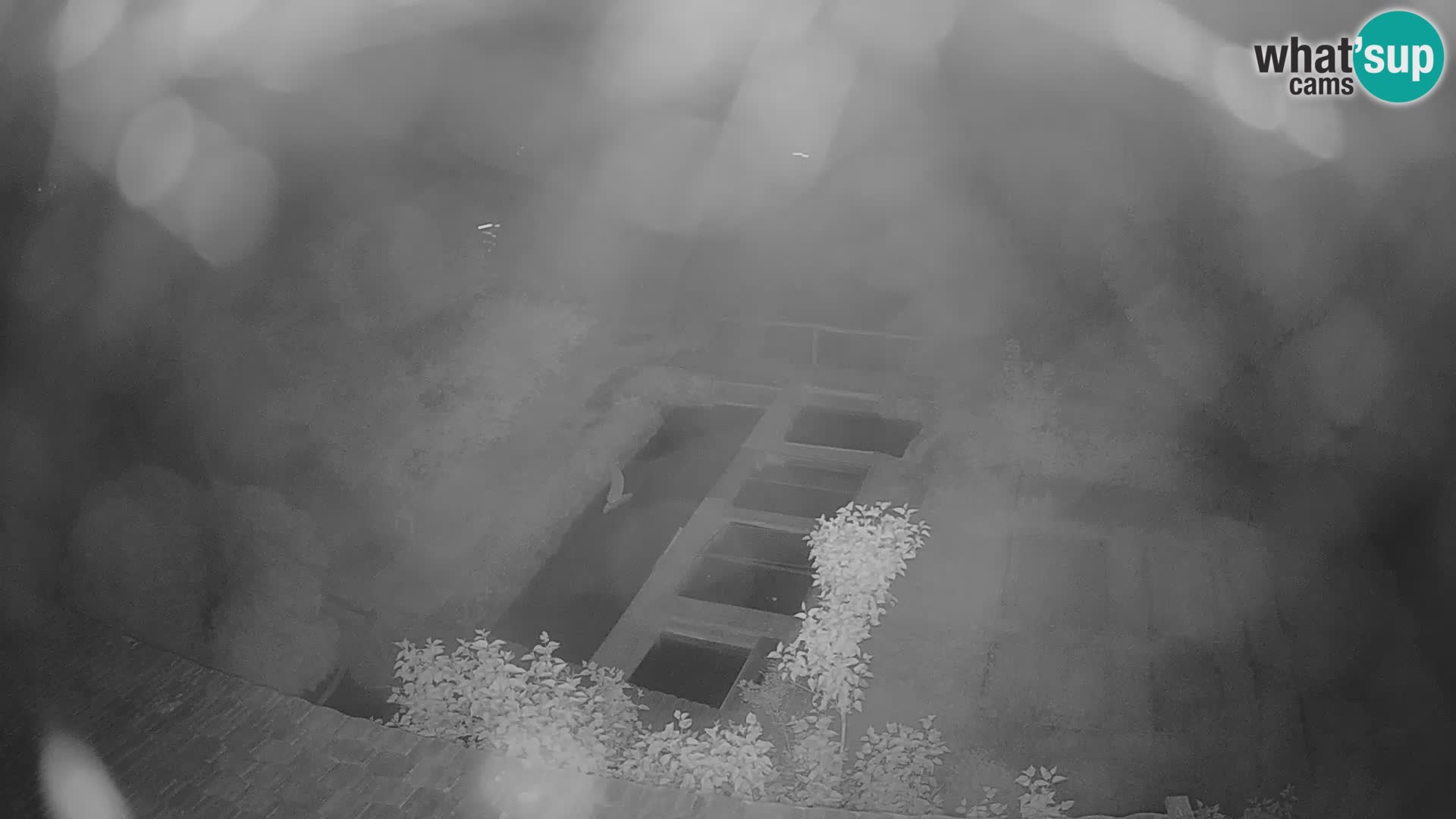 Live webcam Rastoke – river Slunjčica – Croatia