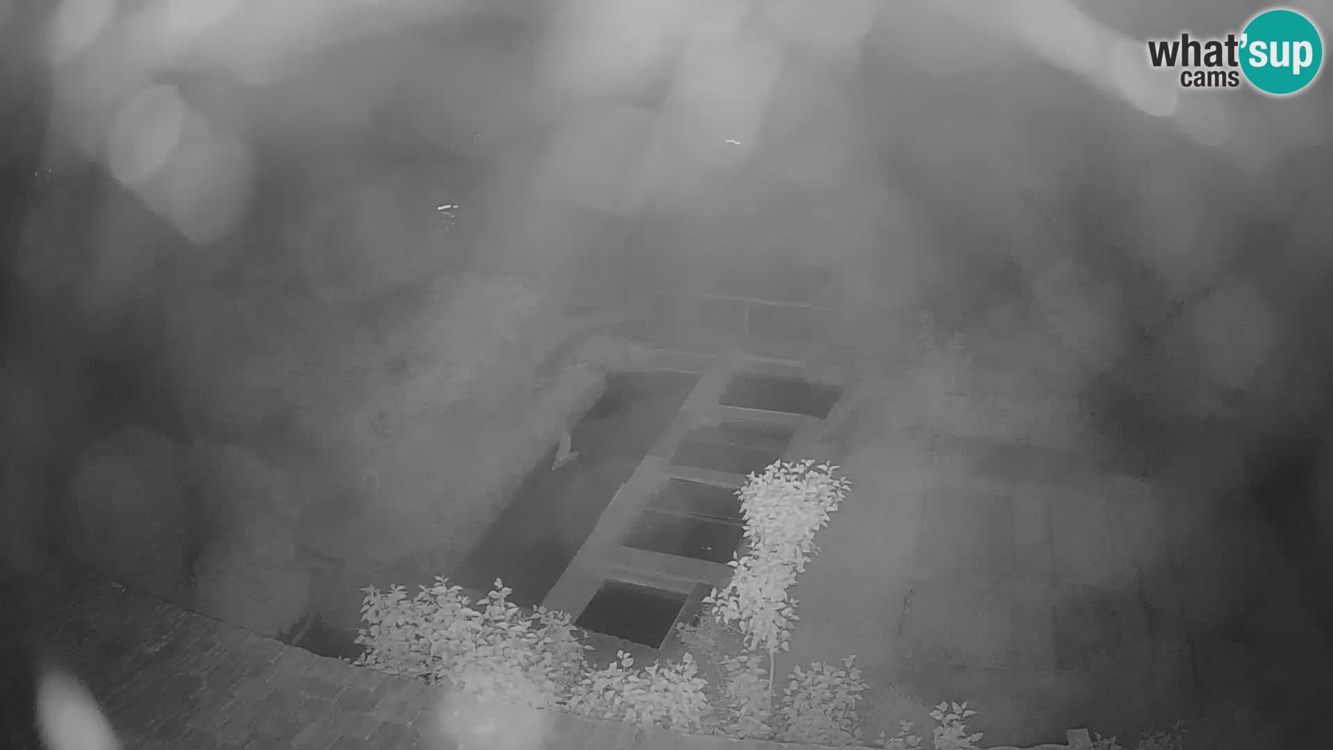 Live-Webcam Rastoke – Fluss Slunjčica – Kroatien