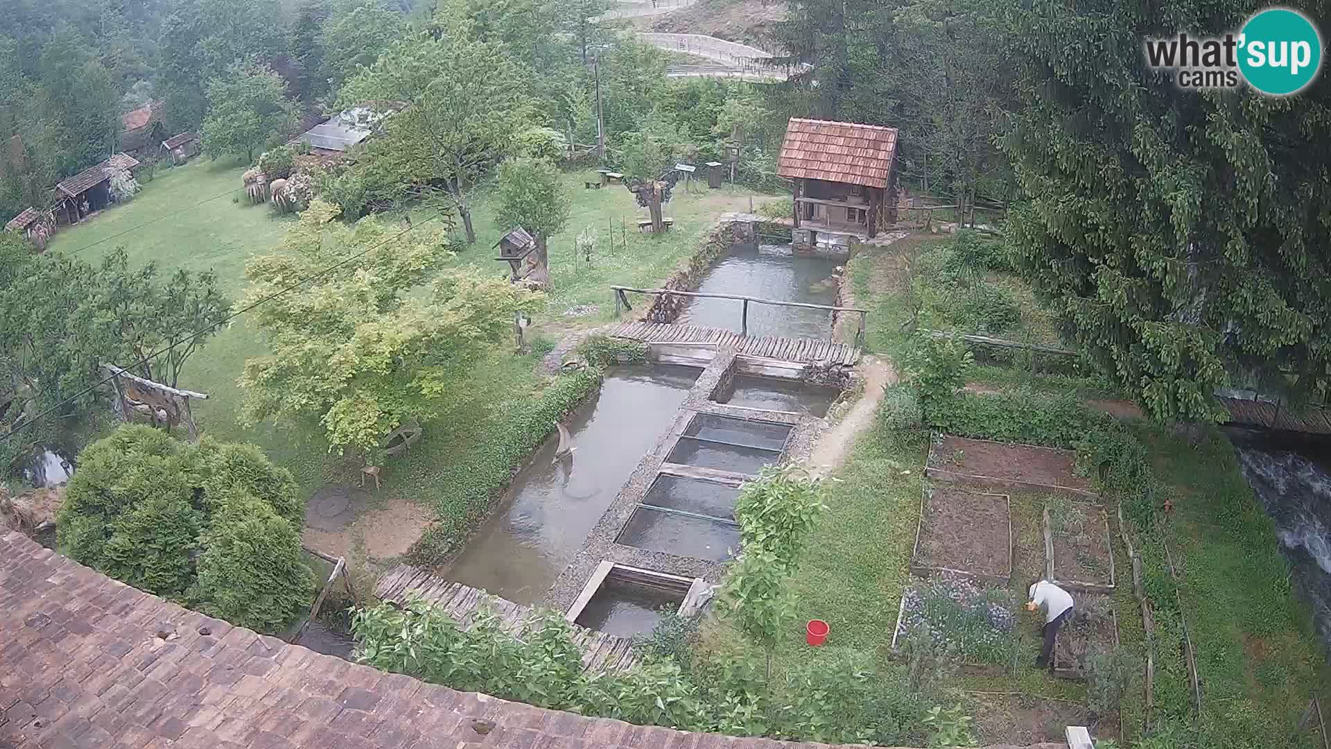 Webcam en direct Rastoke – rivière Slunjčica – Croatie