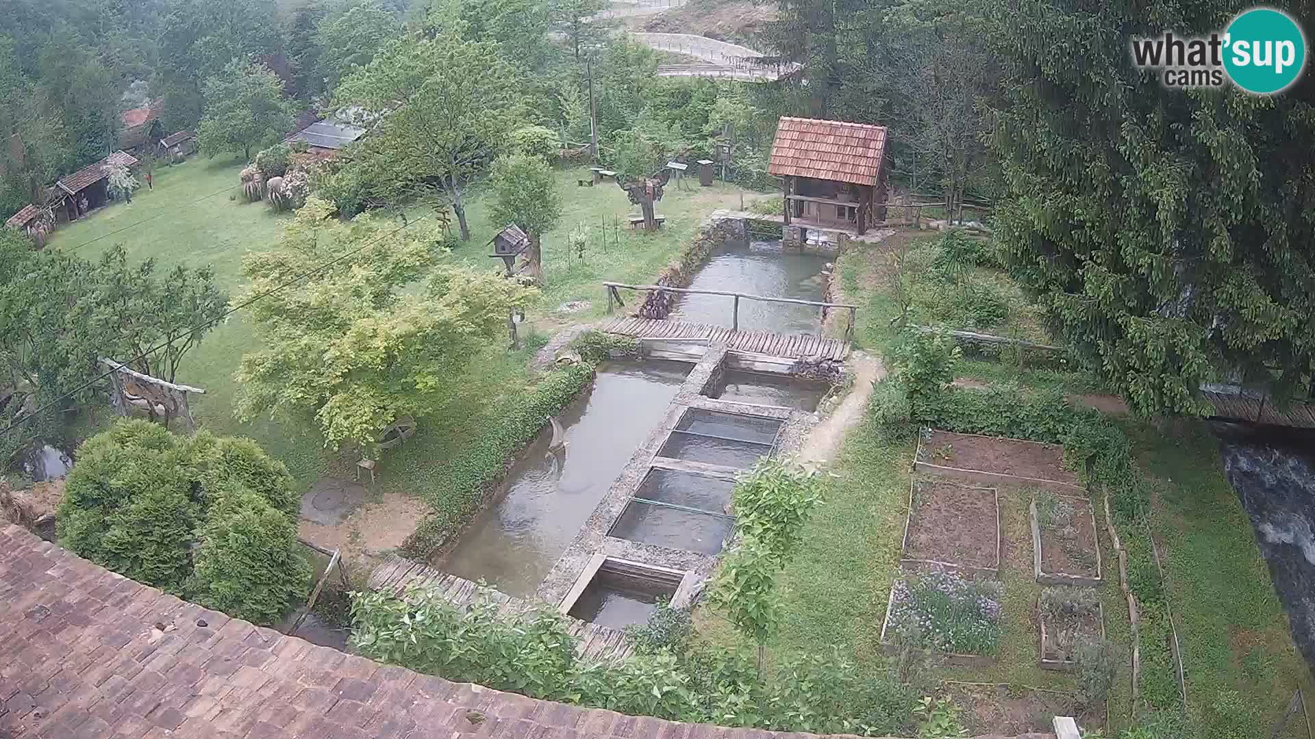 Live webcam Rastoke – fiume Slunjčica – Croazia