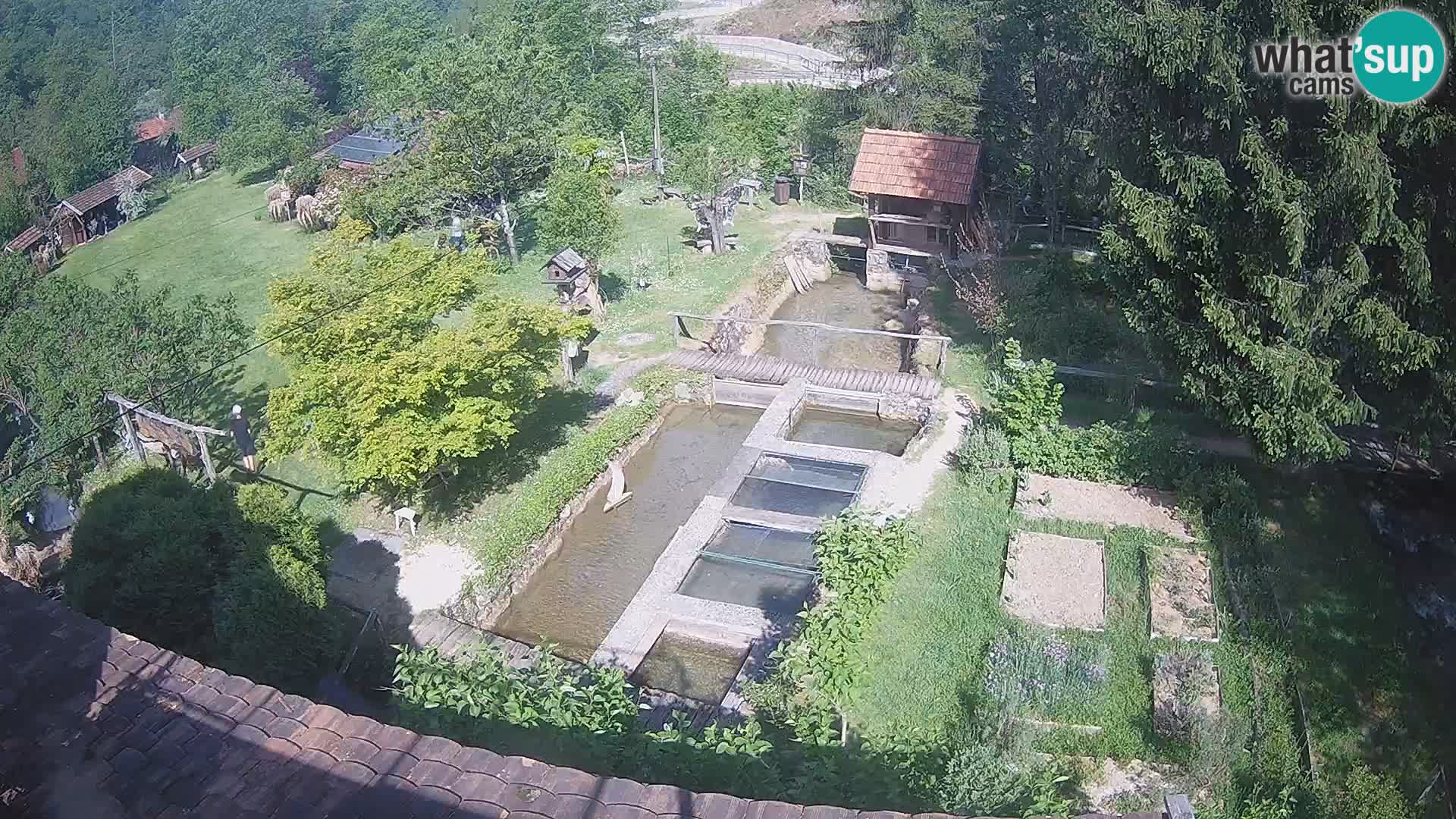 Webcam en direct Rastoke – rivière Slunjčica – Croatie