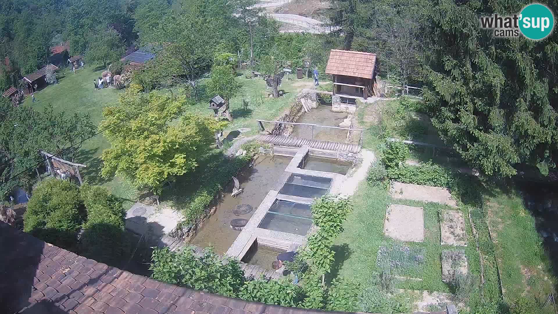 Live-Webcam Rastoke – Fluss Slunjčica – Kroatien