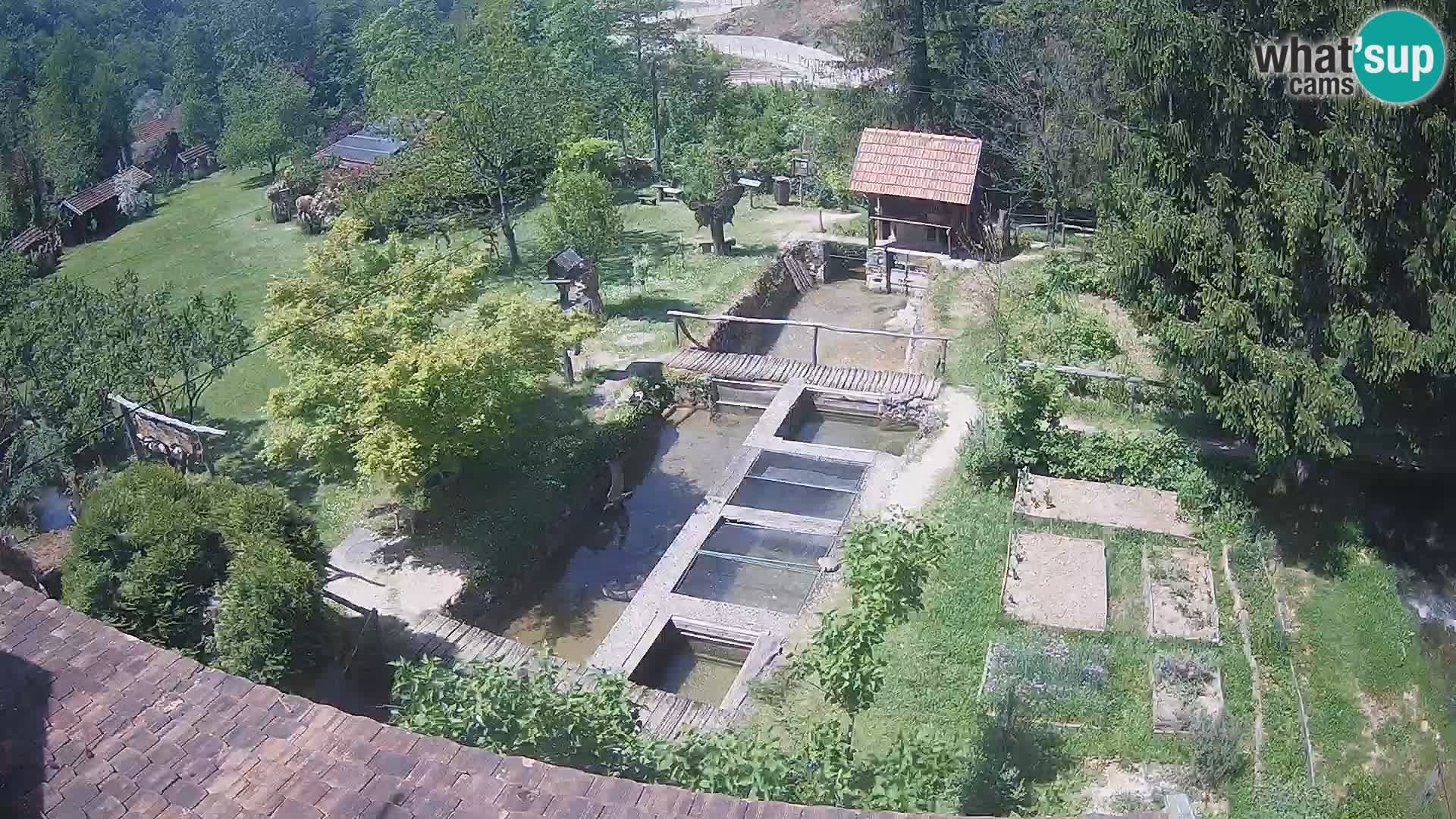 Webcam en direct Rastoke – rivière Slunjčica – Croatie
