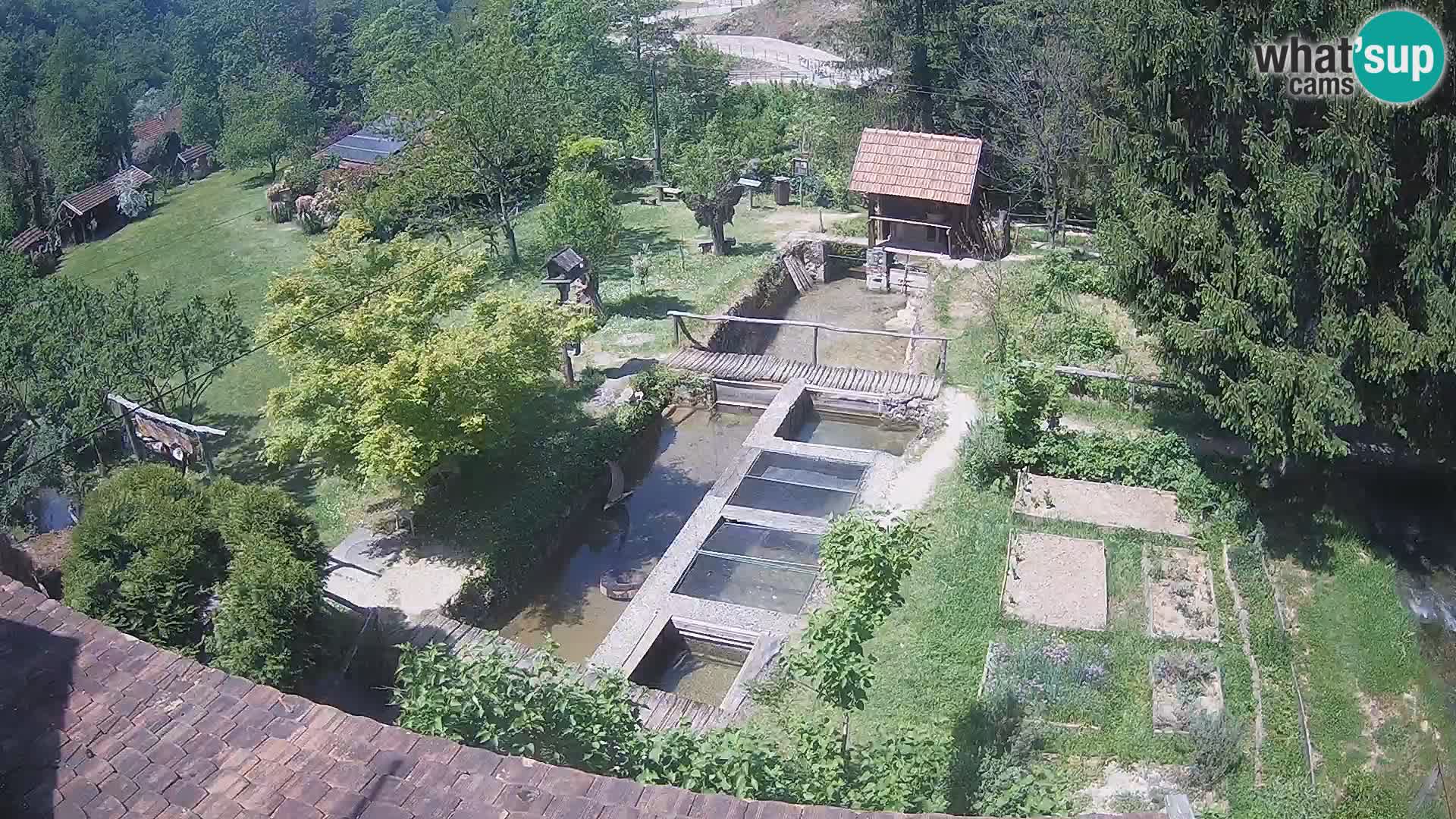 Webcam en direct Rastoke – rivière Slunjčica – Croatie