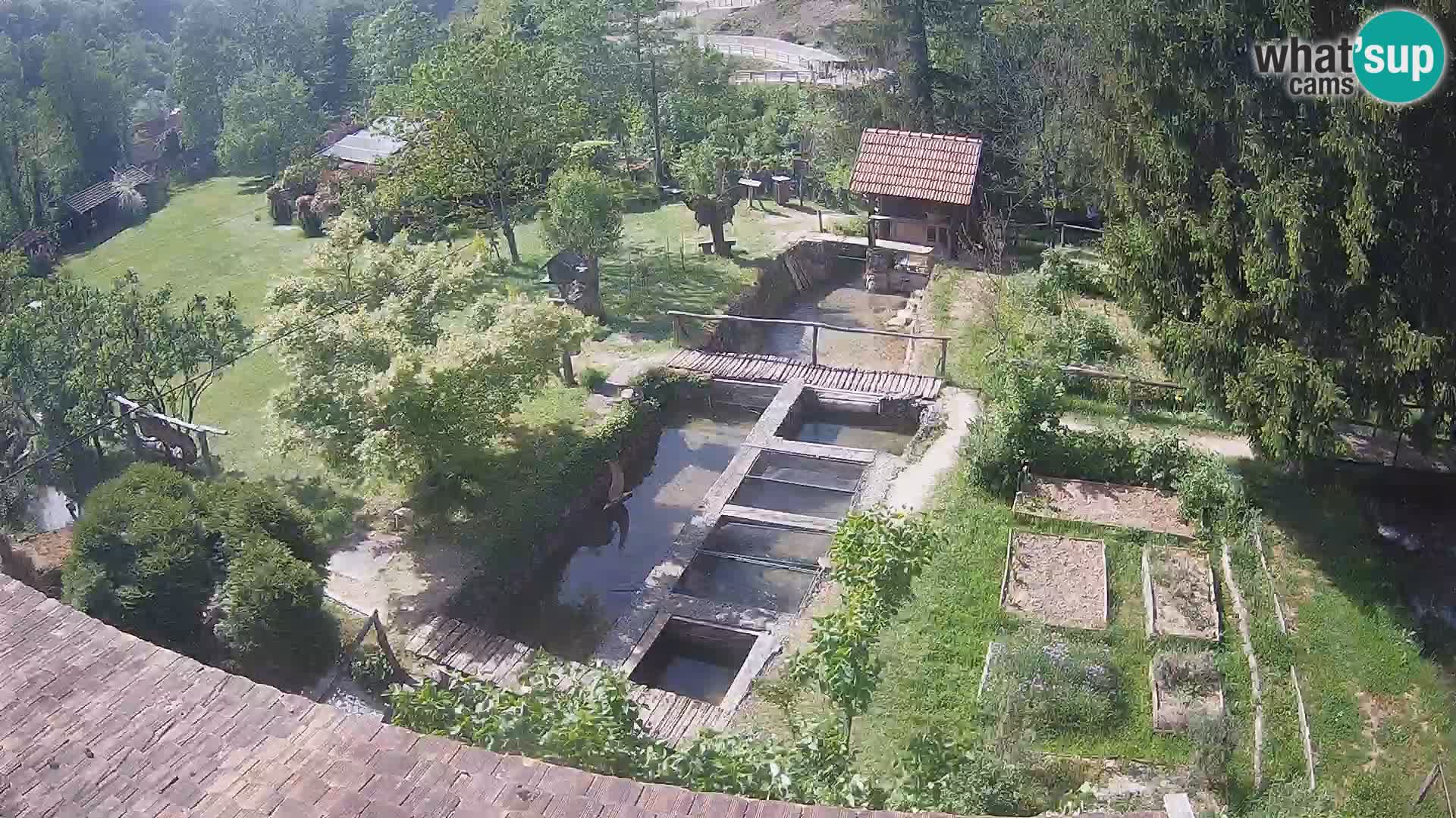 Spletna kamera v živo Rastoke – reka Slunjčica – Hrvaška