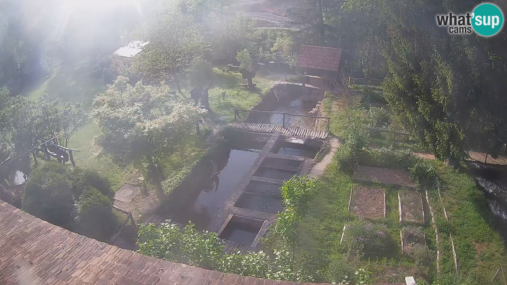 Live webcam Rastoke – fiume Slunjčica – Croazia