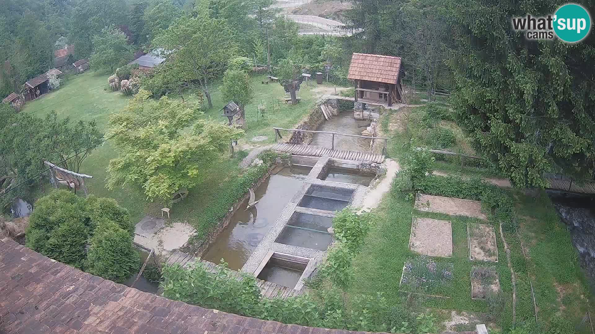 Cámara web en vivo Rastoke – río Slunjčica – Croacia