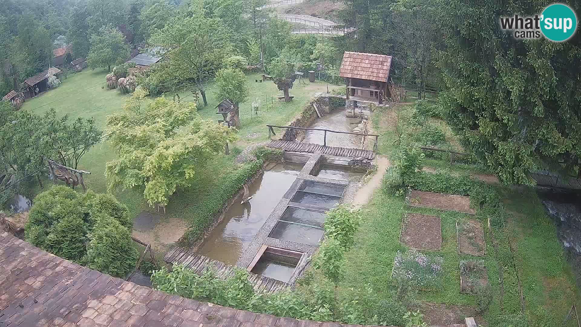 Spletna kamera v živo Rastoke – reka Slunjčica – Hrvaška