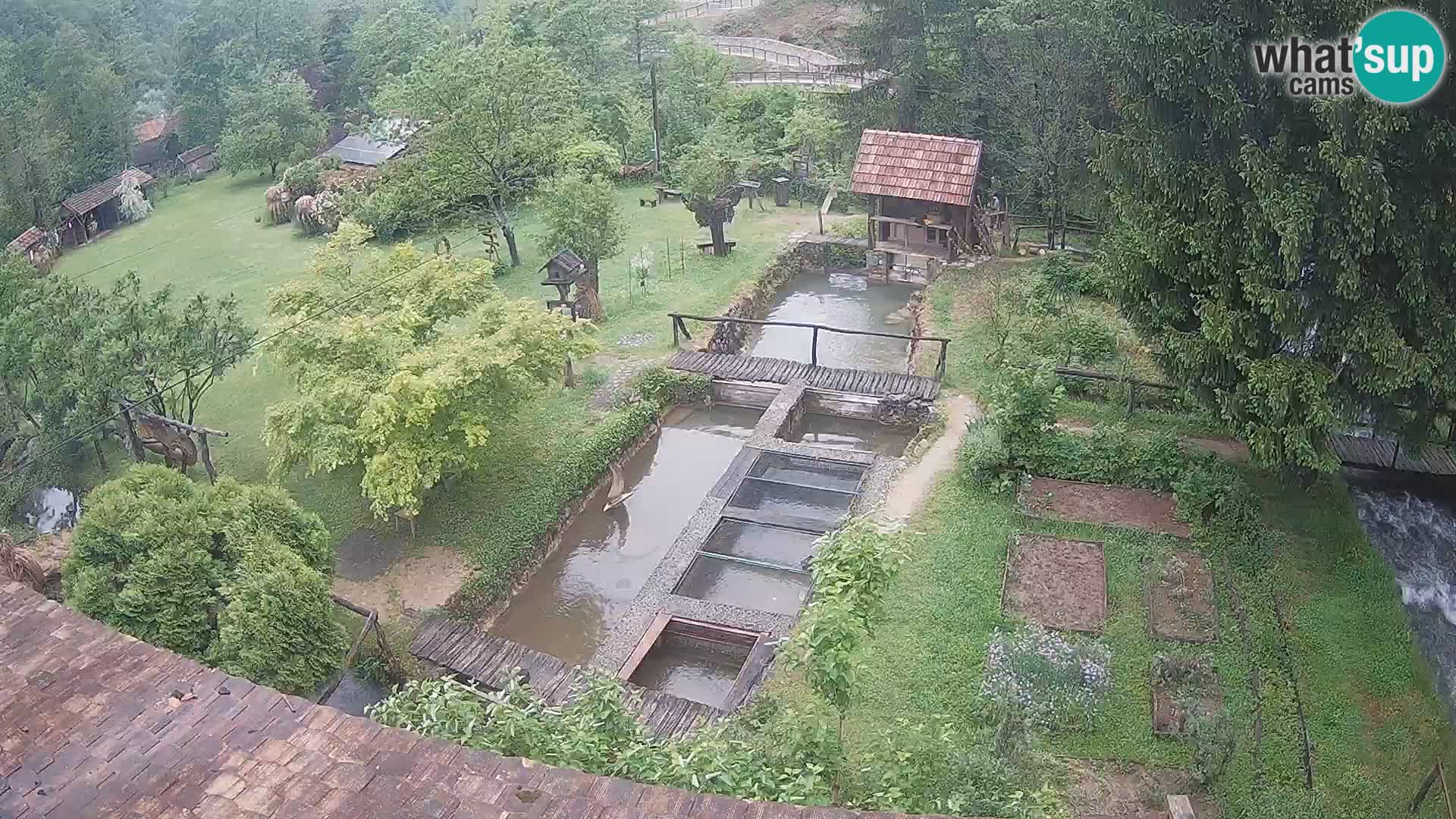 Cámara web en vivo Rastoke – río Slunjčica – Croacia
