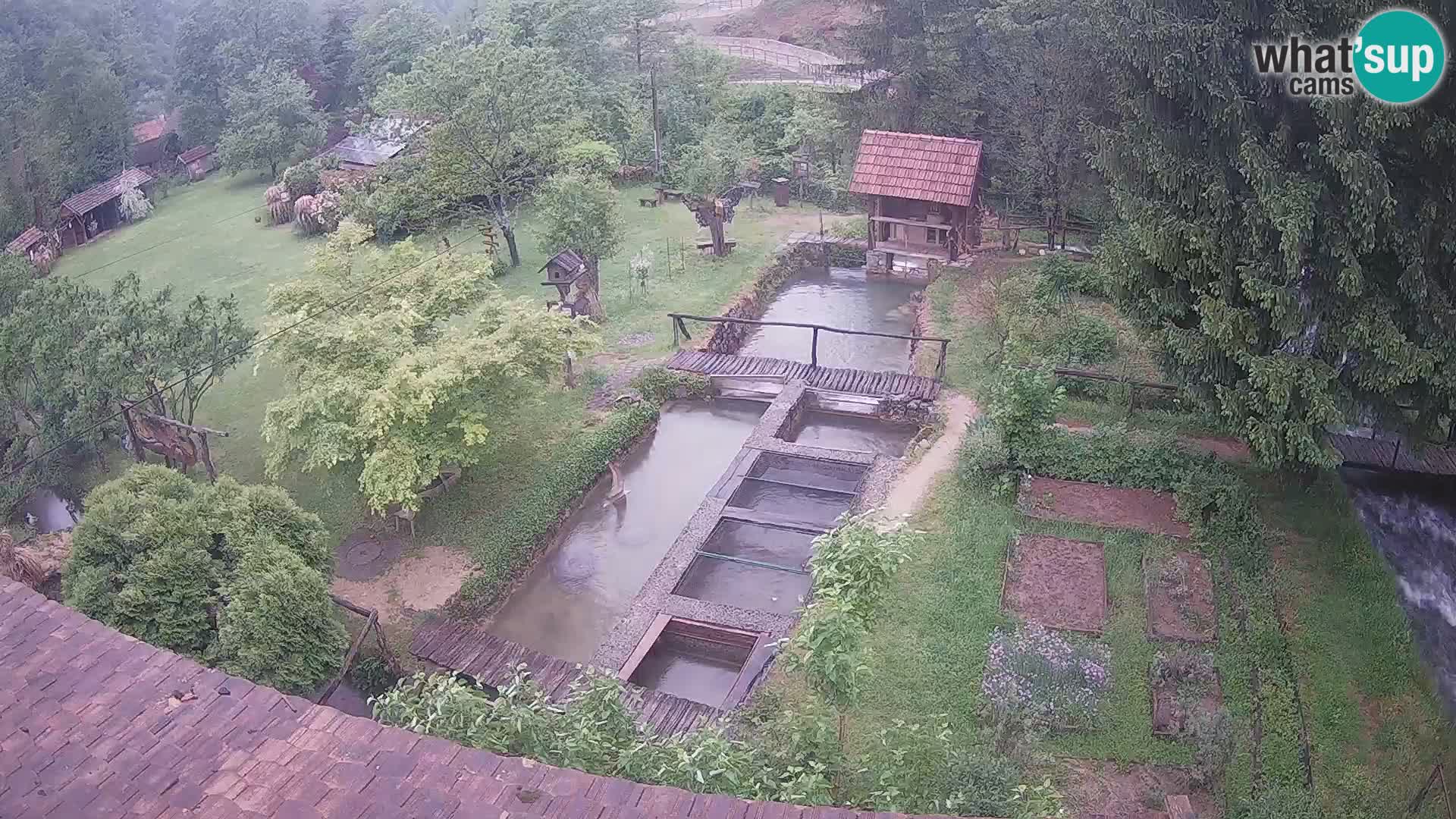 Live-Webcam Rastoke – Fluss Slunjčica – Kroatien