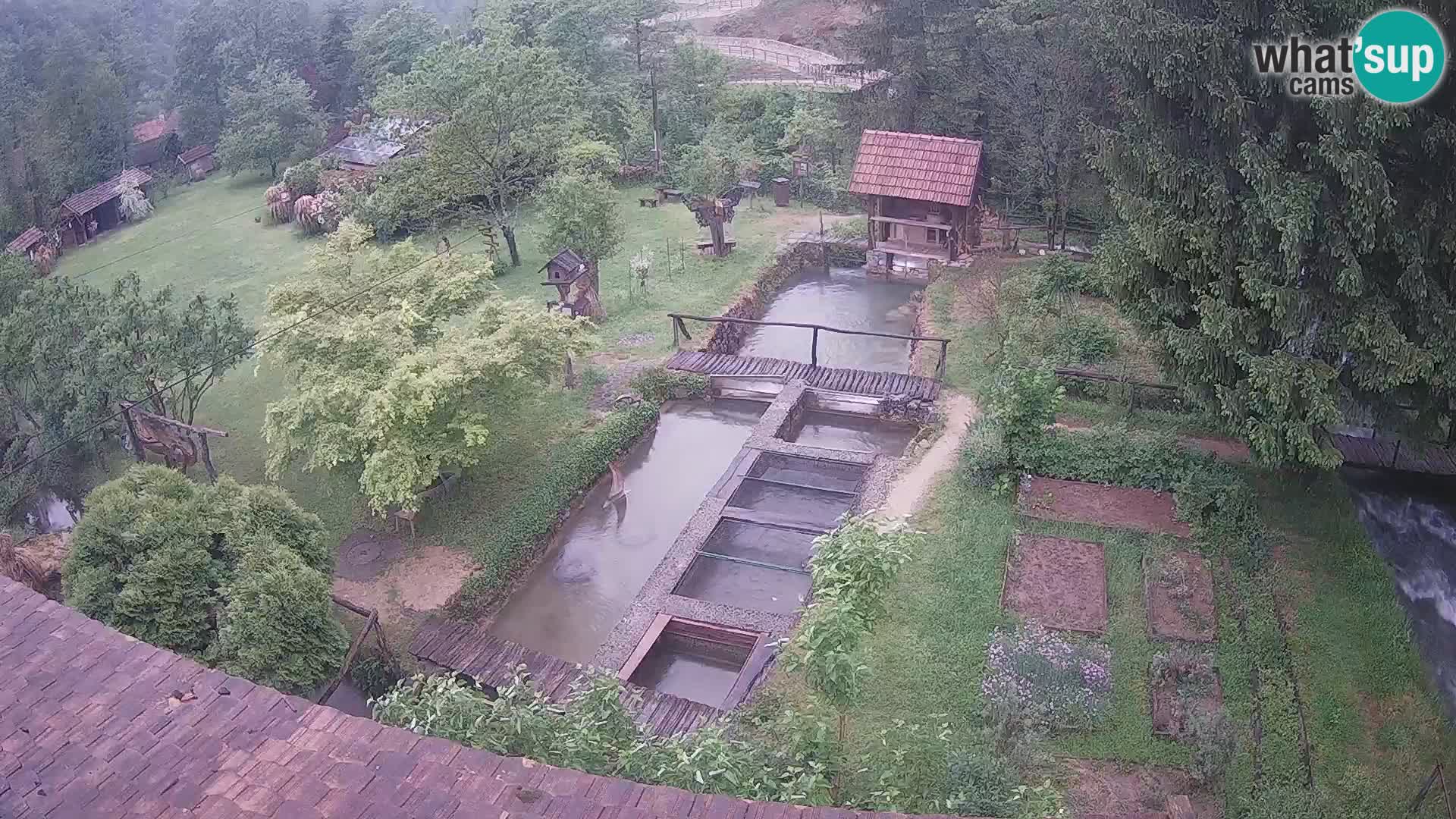 Live webcam Rastoke – river Slunjčica – Croatia