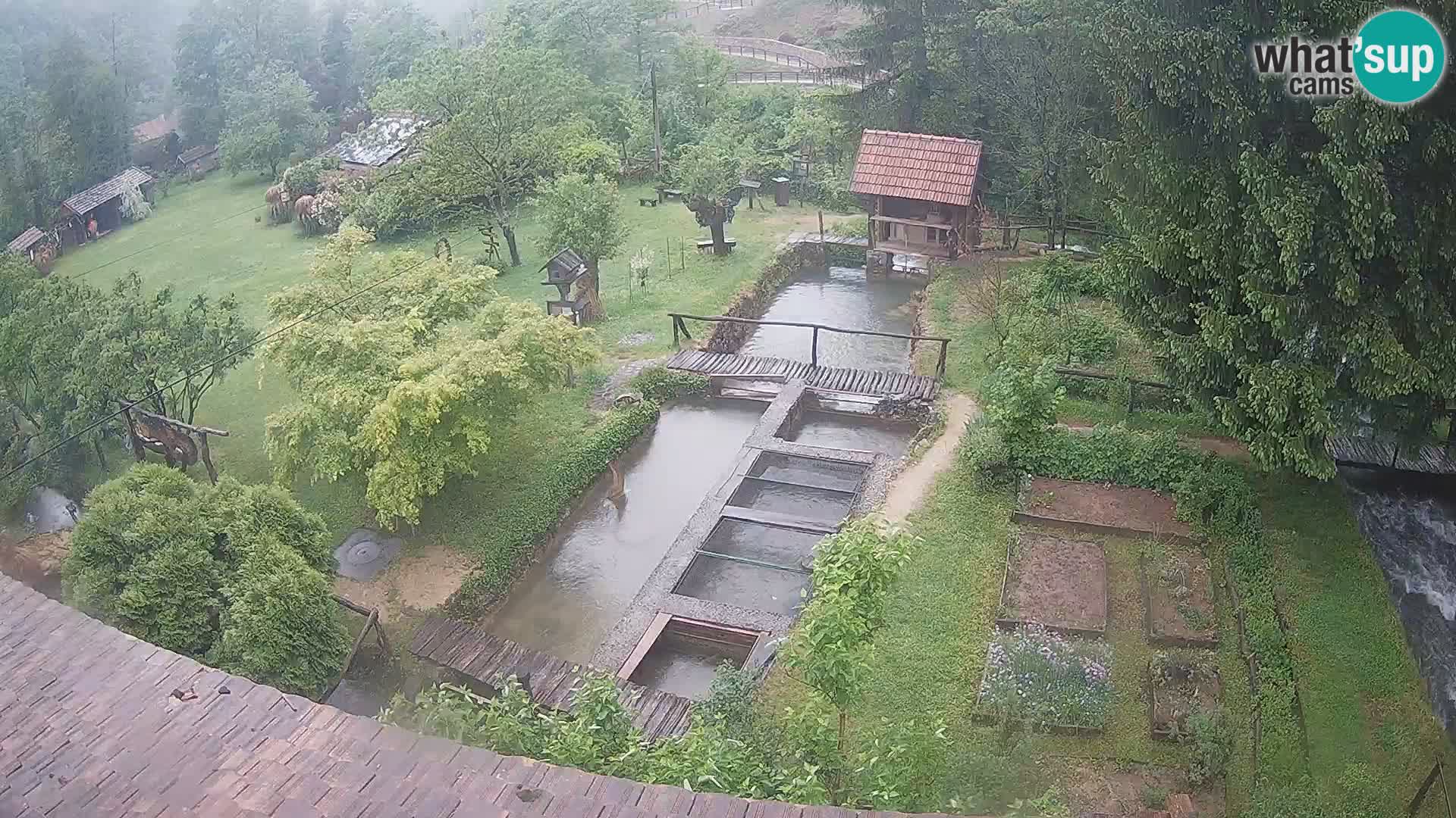 Live webcam Rastoke – river Slunjčica – Croatia