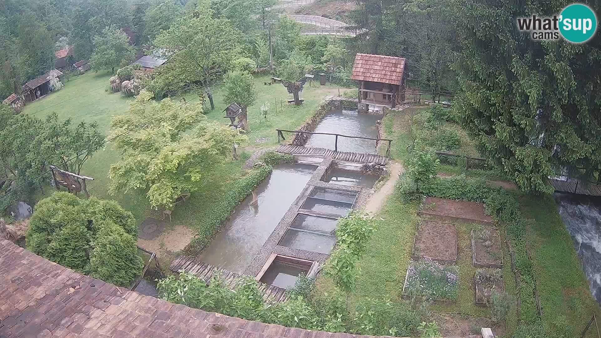 Cámara web en vivo Rastoke – río Slunjčica – Croacia