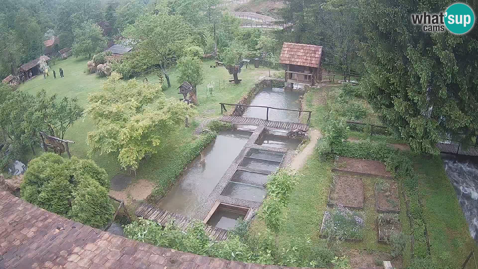 Live webcam Rastoke – river Slunjčica – Croatia