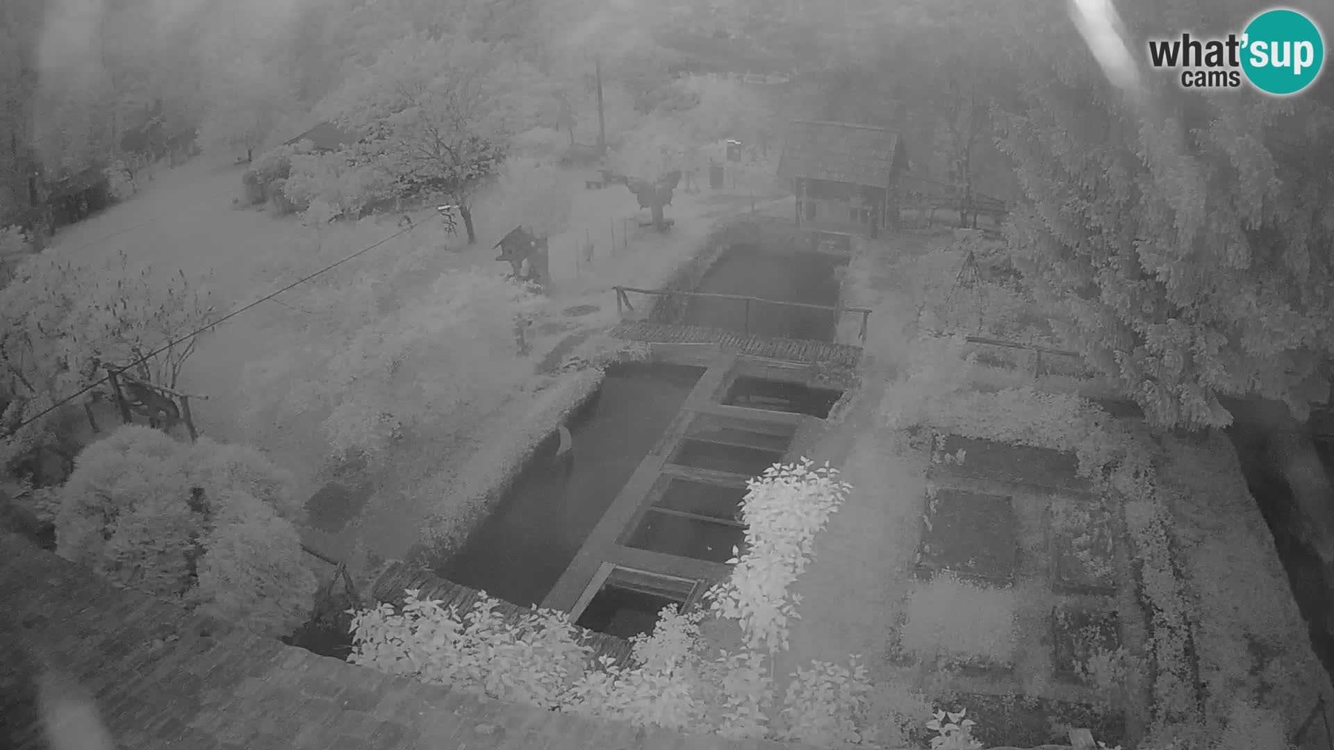 Live-Webcam Rastoke – Fluss Slunjčica – Kroatien