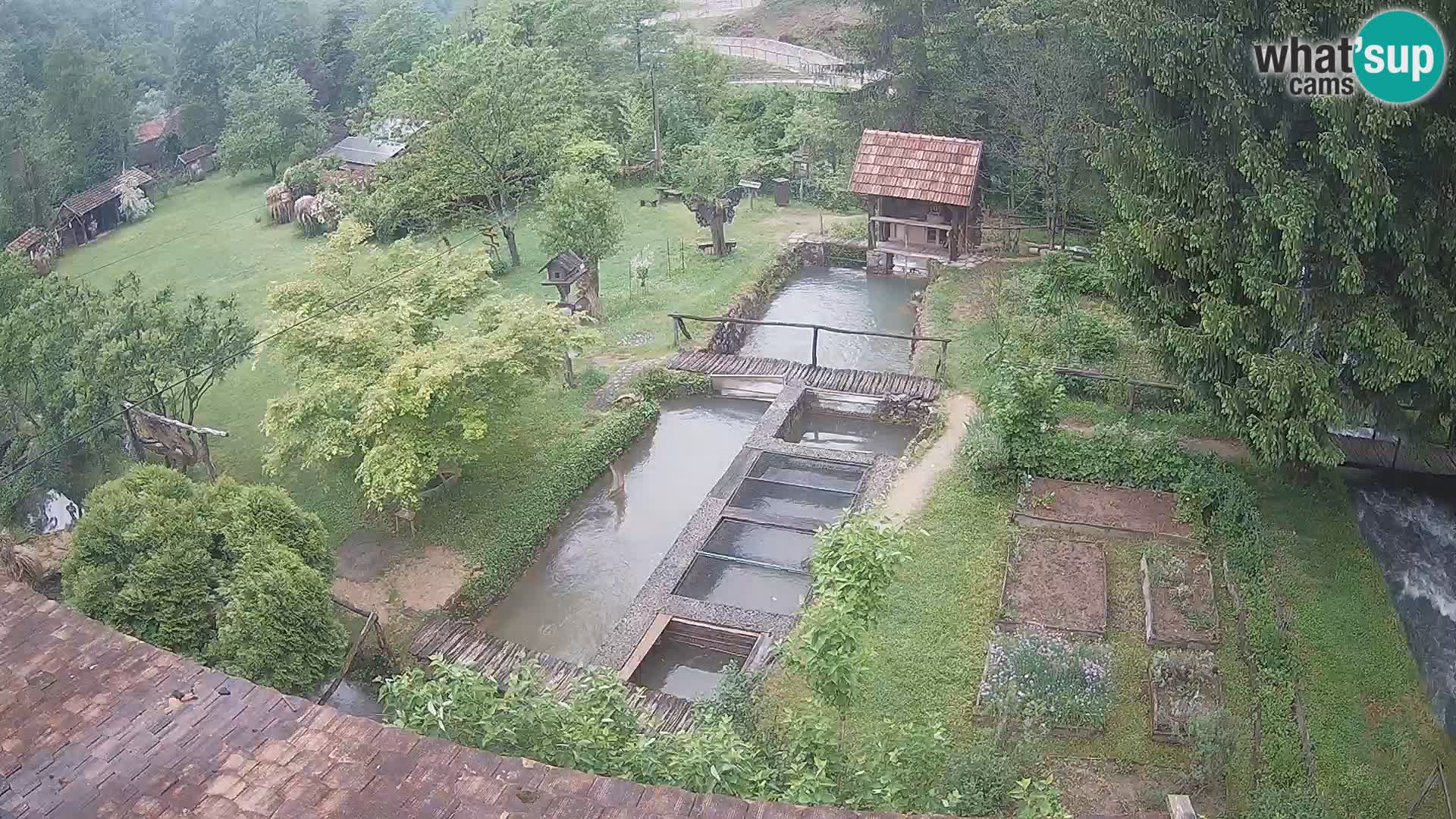 Live-Webcam Rastoke – Fluss Slunjčica – Kroatien