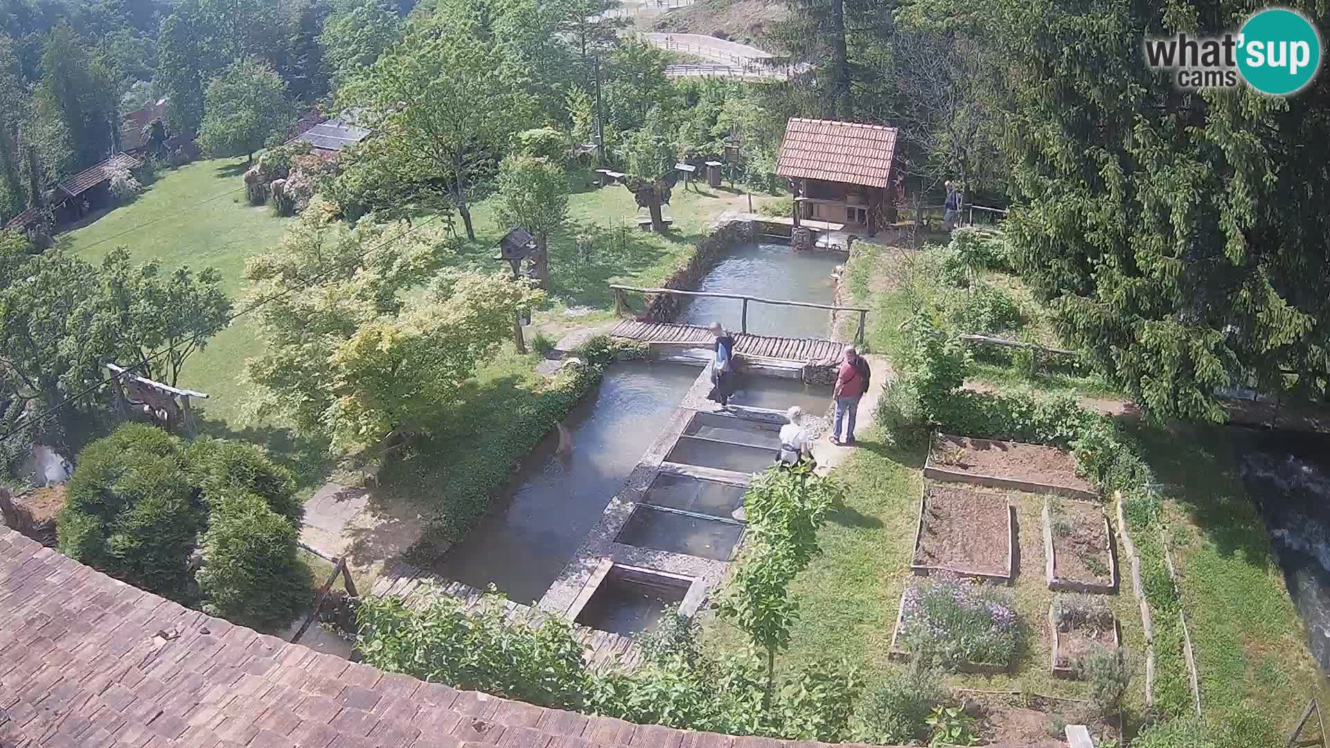 Spletna kamera v živo Rastoke – reka Slunjčica – Hrvaška