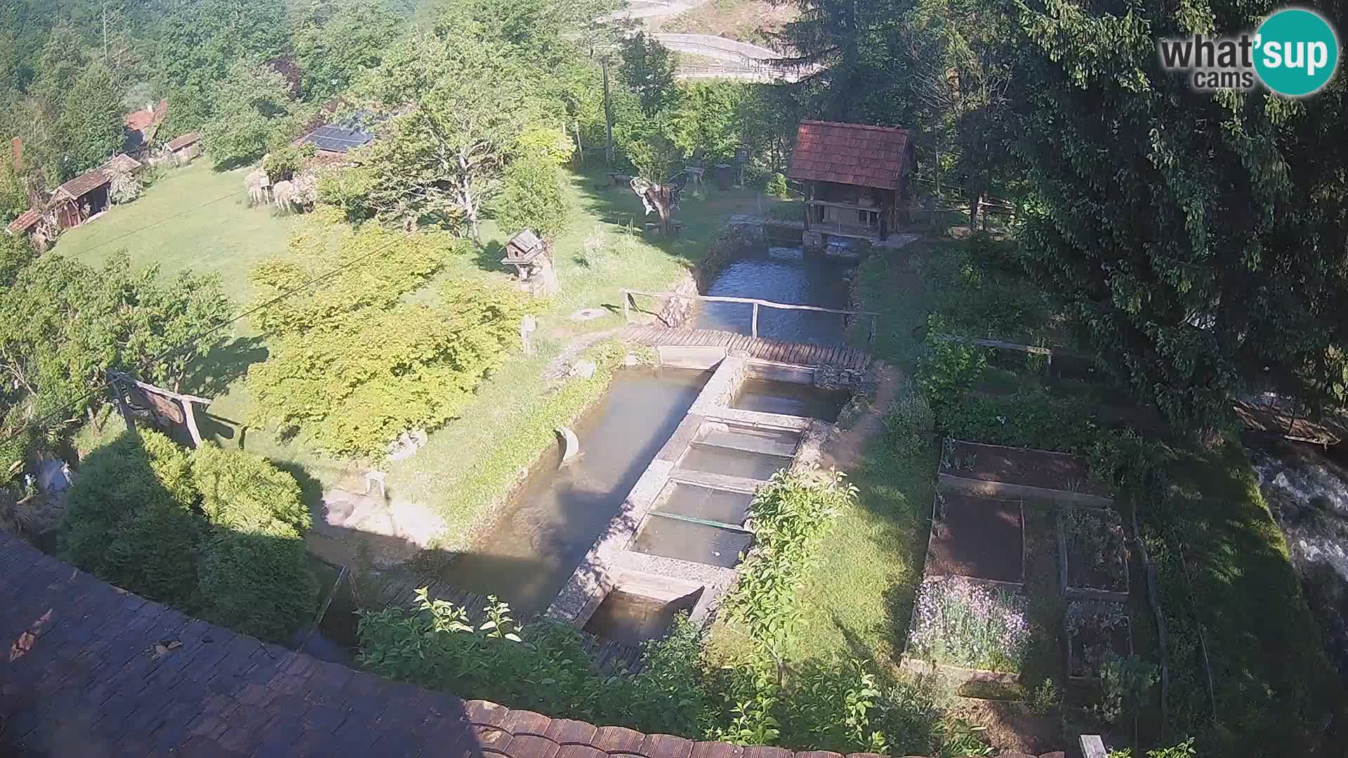 Webcam en direct Rastoke – rivière Slunjčica – Croatie