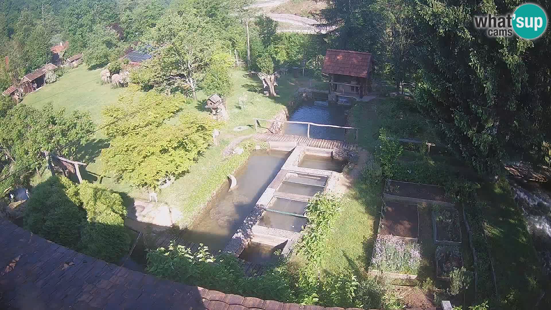 Cámara web en vivo Rastoke – río Slunjčica – Croacia