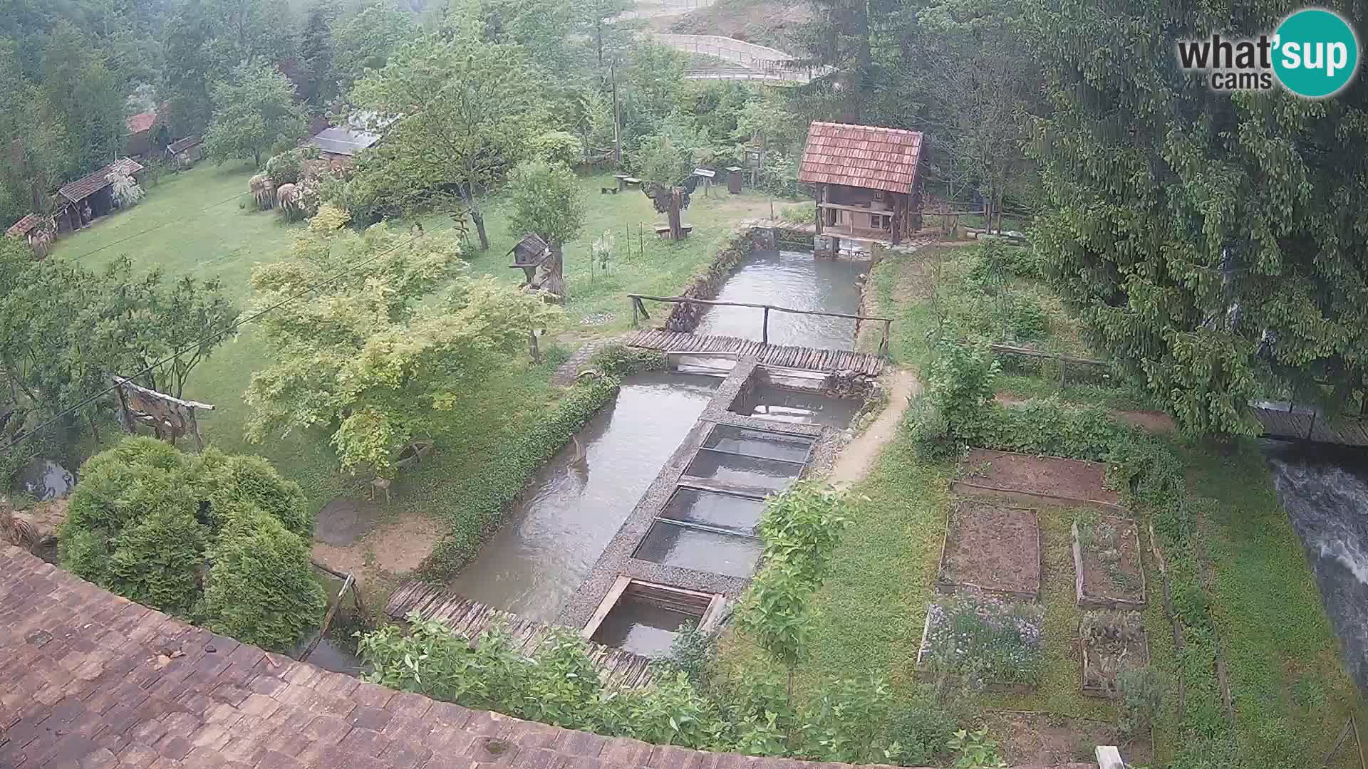 Live-Webcam Rastoke – Fluss Slunjčica – Kroatien