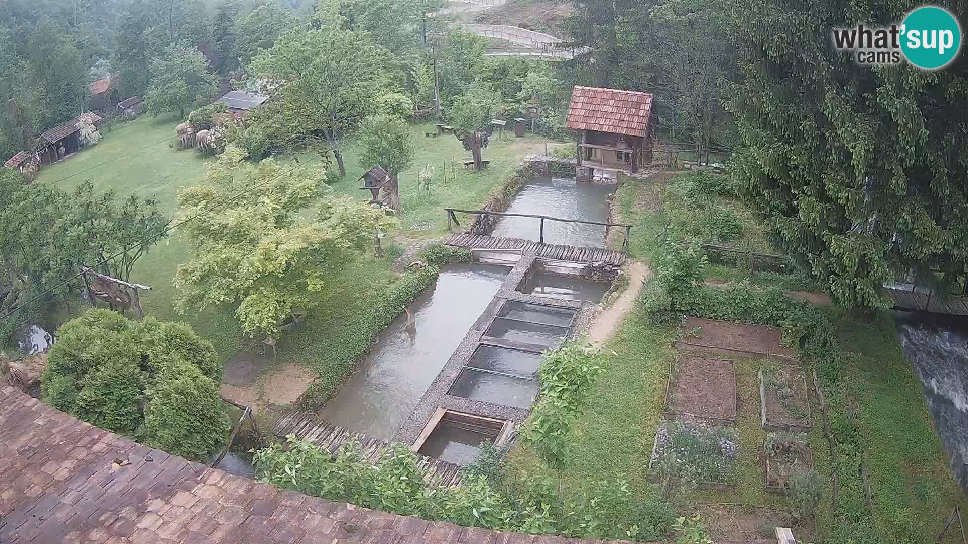 Cámara web en vivo Rastoke – río Slunjčica – Croacia