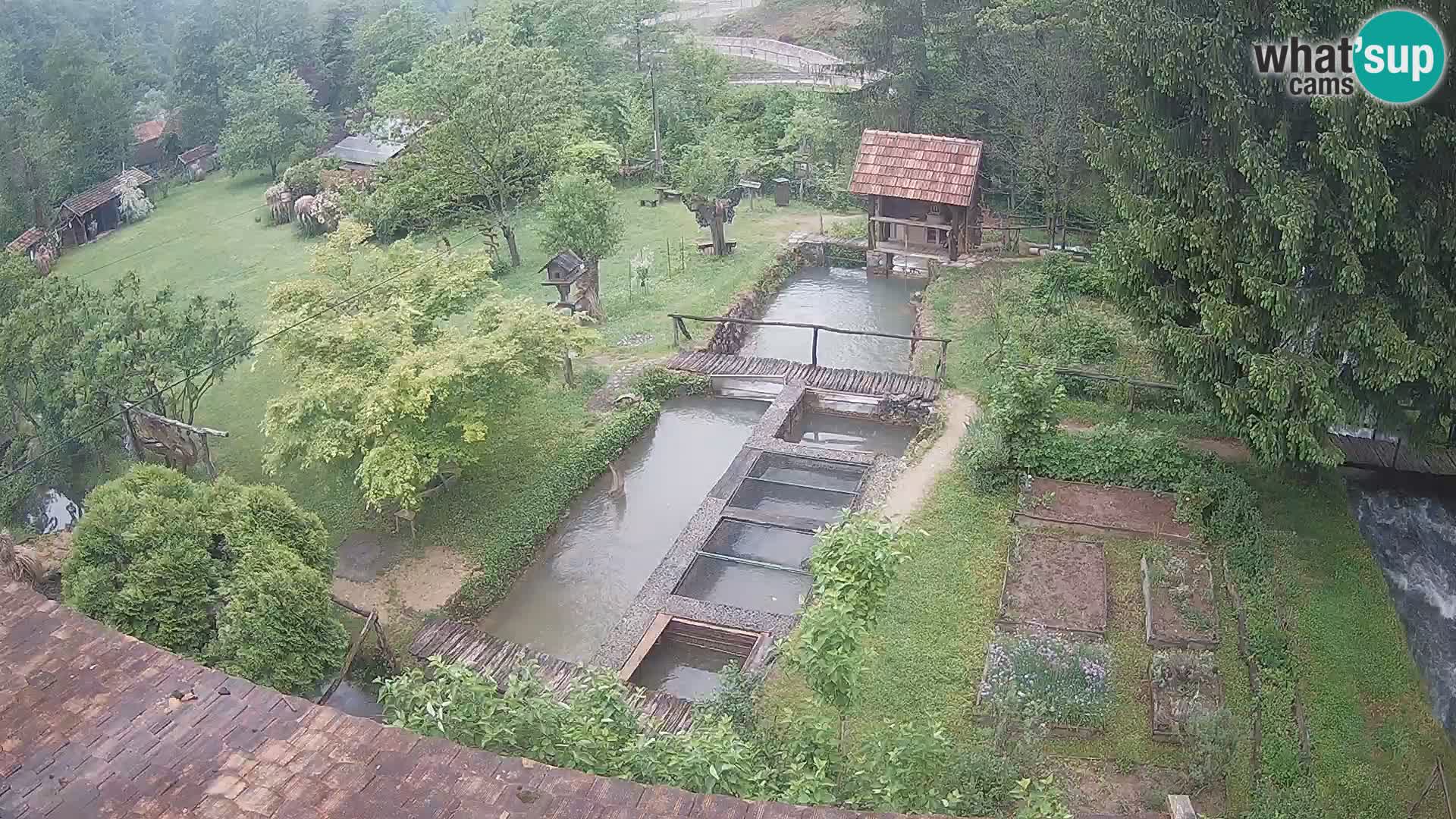Live-Webcam Rastoke – Fluss Slunjčica – Kroatien