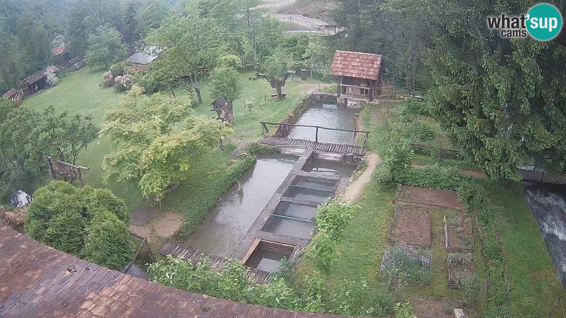 Webcam en direct Rastoke – rivière Slunjčica – Croatie